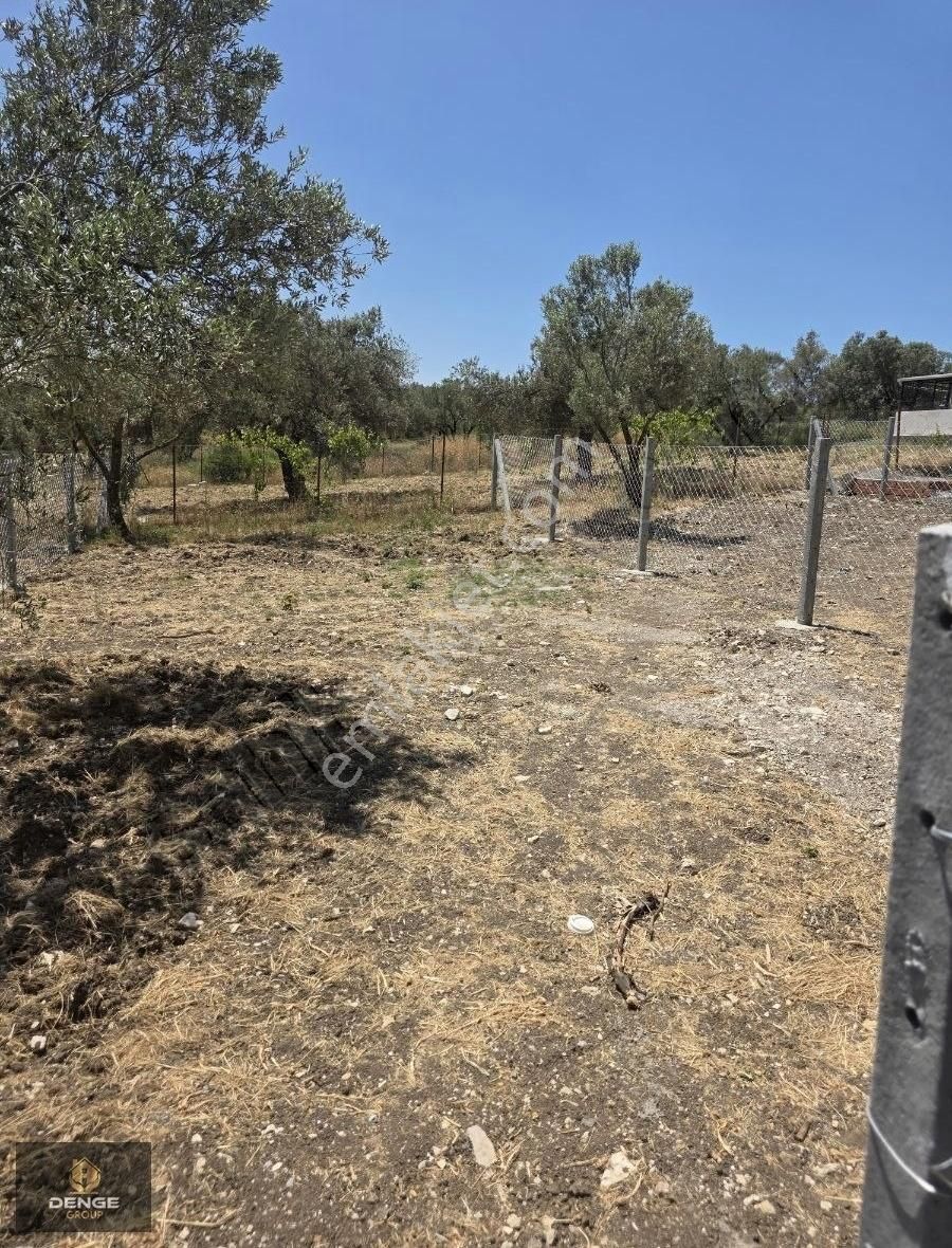 Helvacı Da 310 M2 Mükemmel Bahçe - Görsel 10