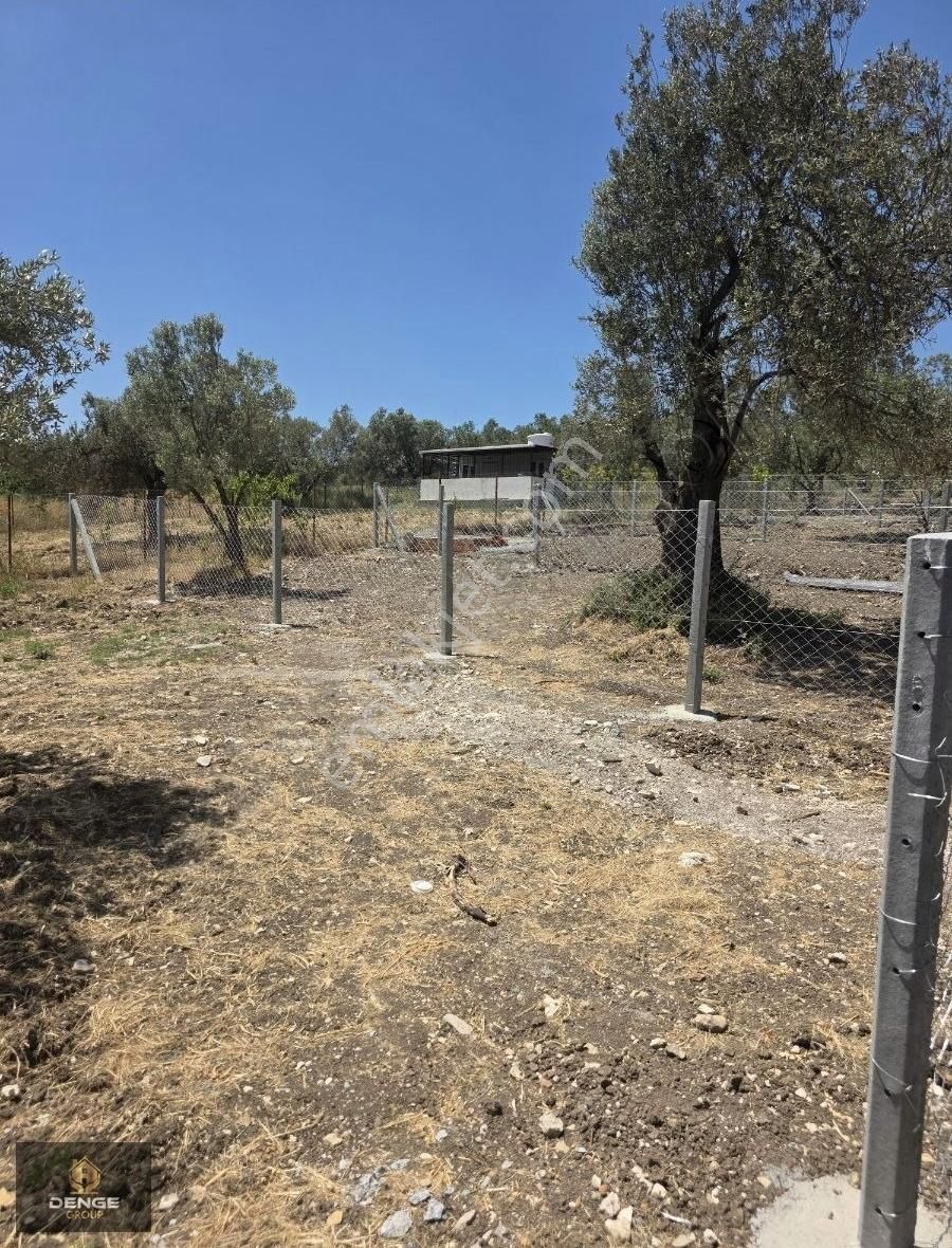 Helvacı Da 310 M2 Mükemmel Bahçe - Görsel 9