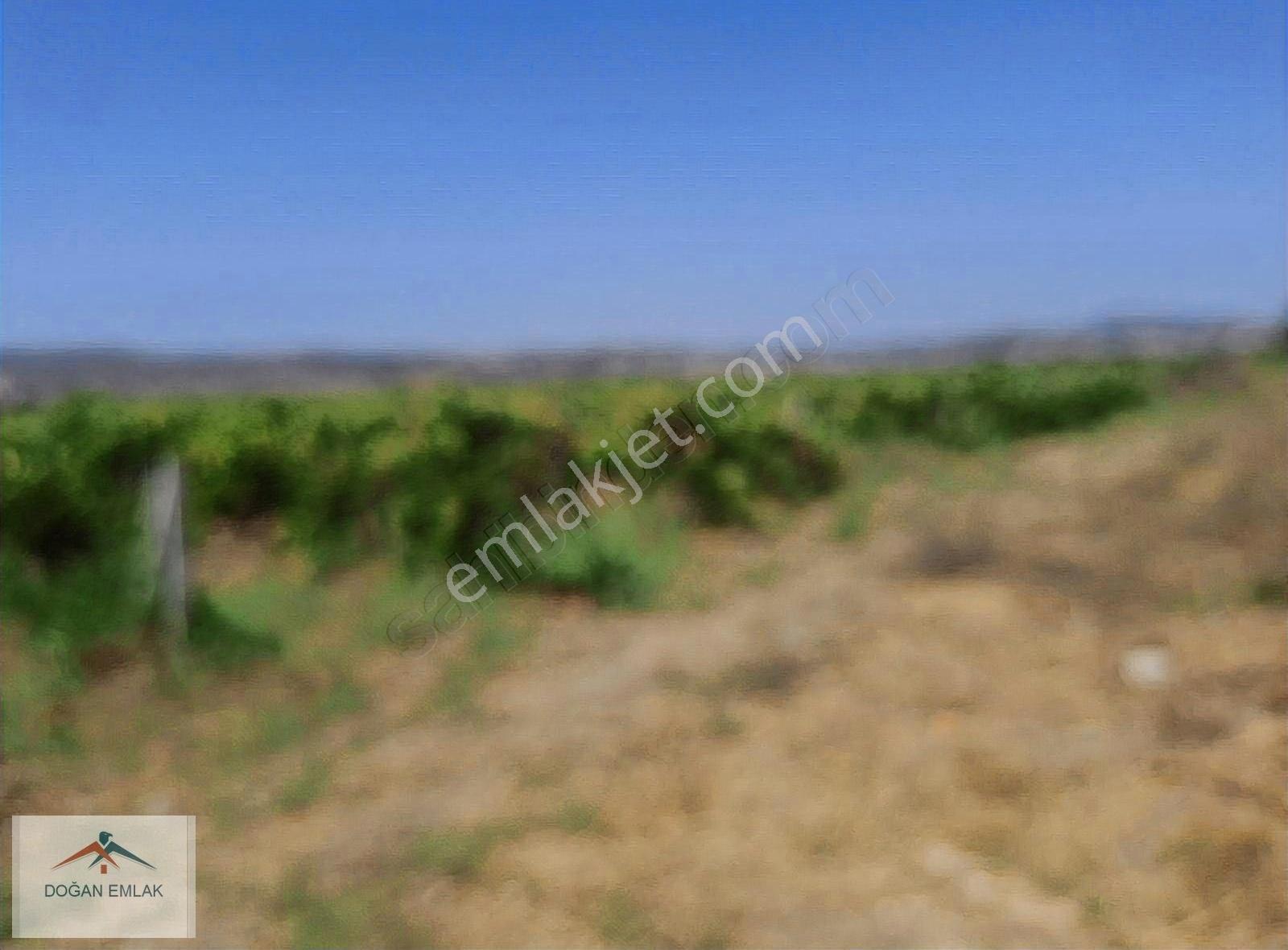 Manisa Yunusemre Karaalide Ana Yola 2. Parsel 9000m2 Tarla - Görsel 7