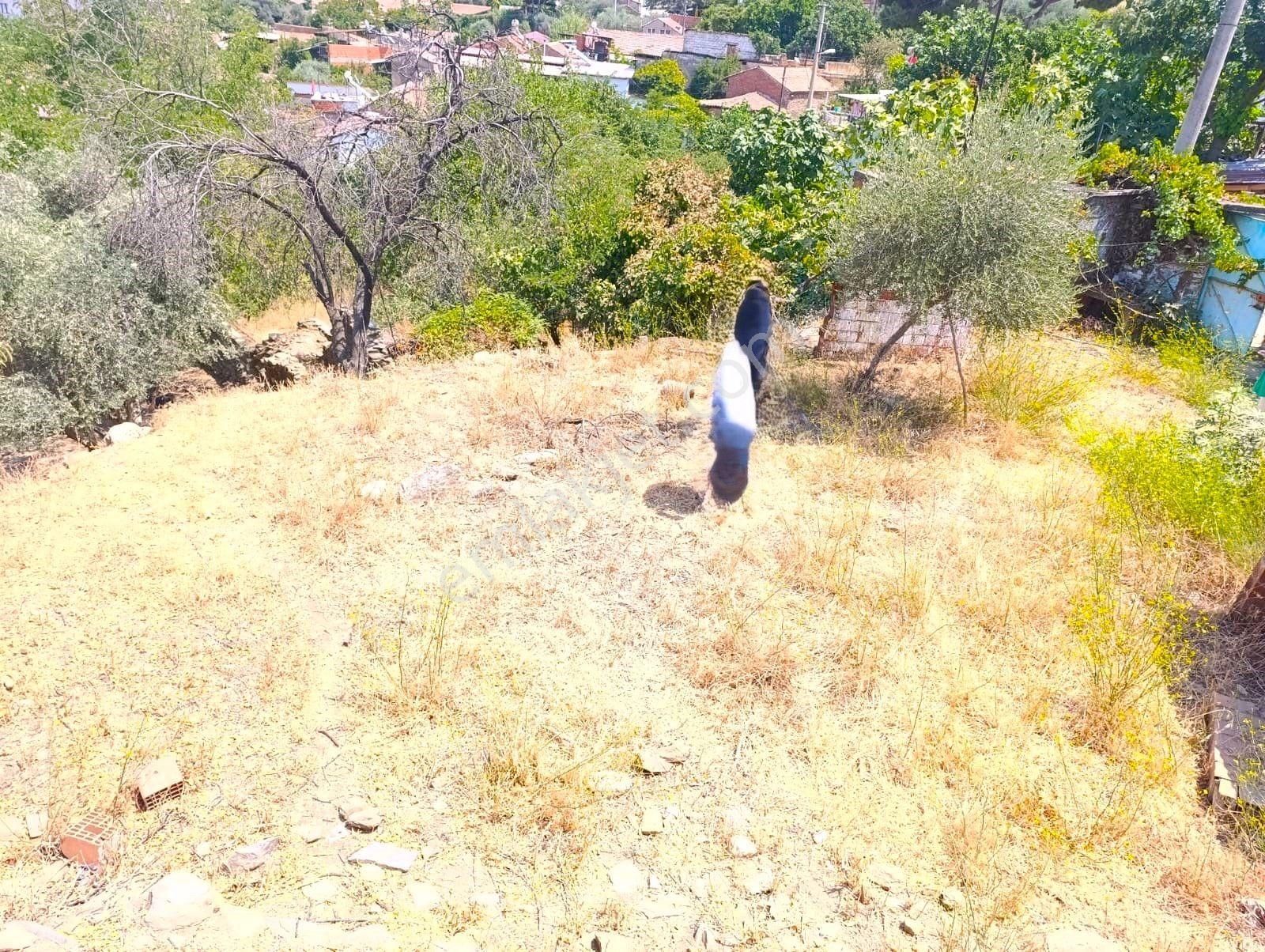 Satılık Kargir Evi Olan Arsa - Görsel 15