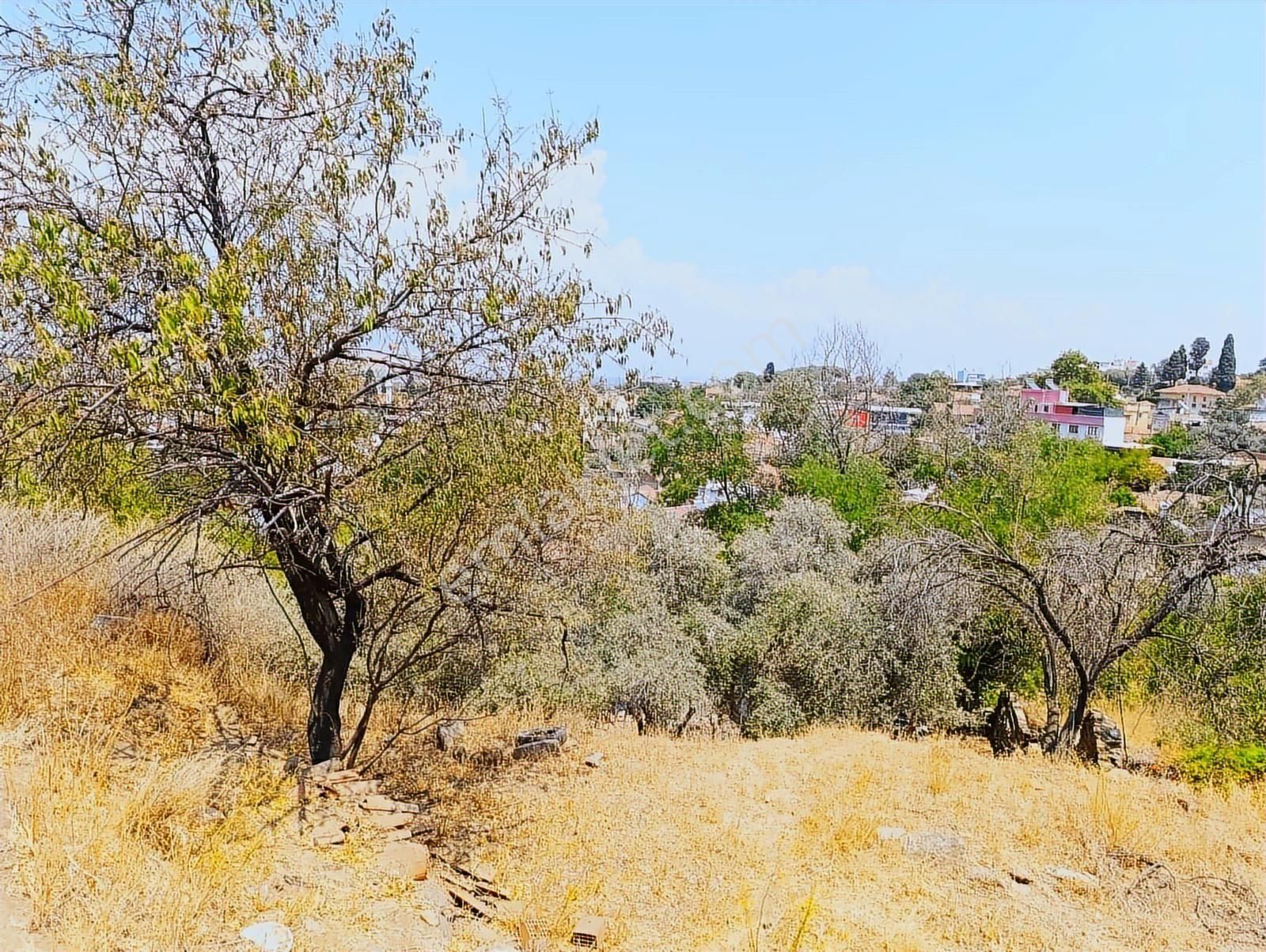 Satılık Kargir Evi Olan Arsa - Görsel 14