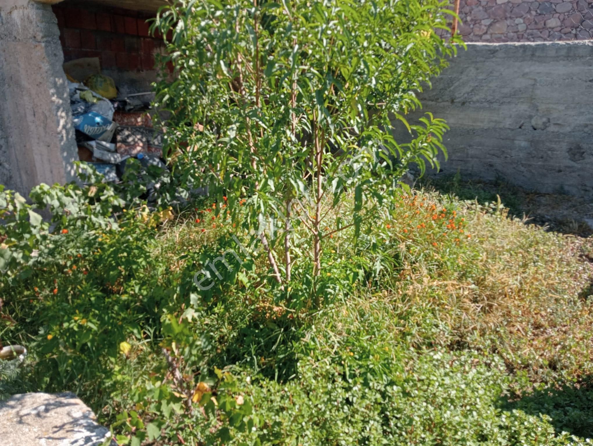 Komutanemlaktan Bergama Durmuşlardaoturmaya Hazır Köy Evi - Görsel 14