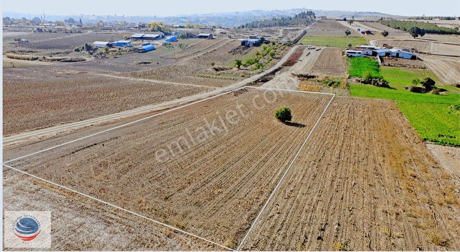 Bursa Yenişehir Mahmudiye'de Köy Yerleşim Alanının Yanında Arsa - Görsel 6