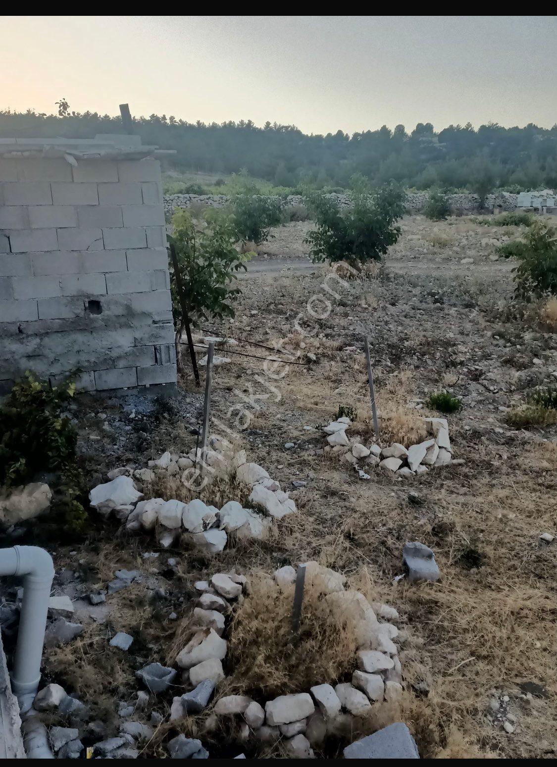 Silifke Gğndüzler Mah Evve Tarla - Görsel 2