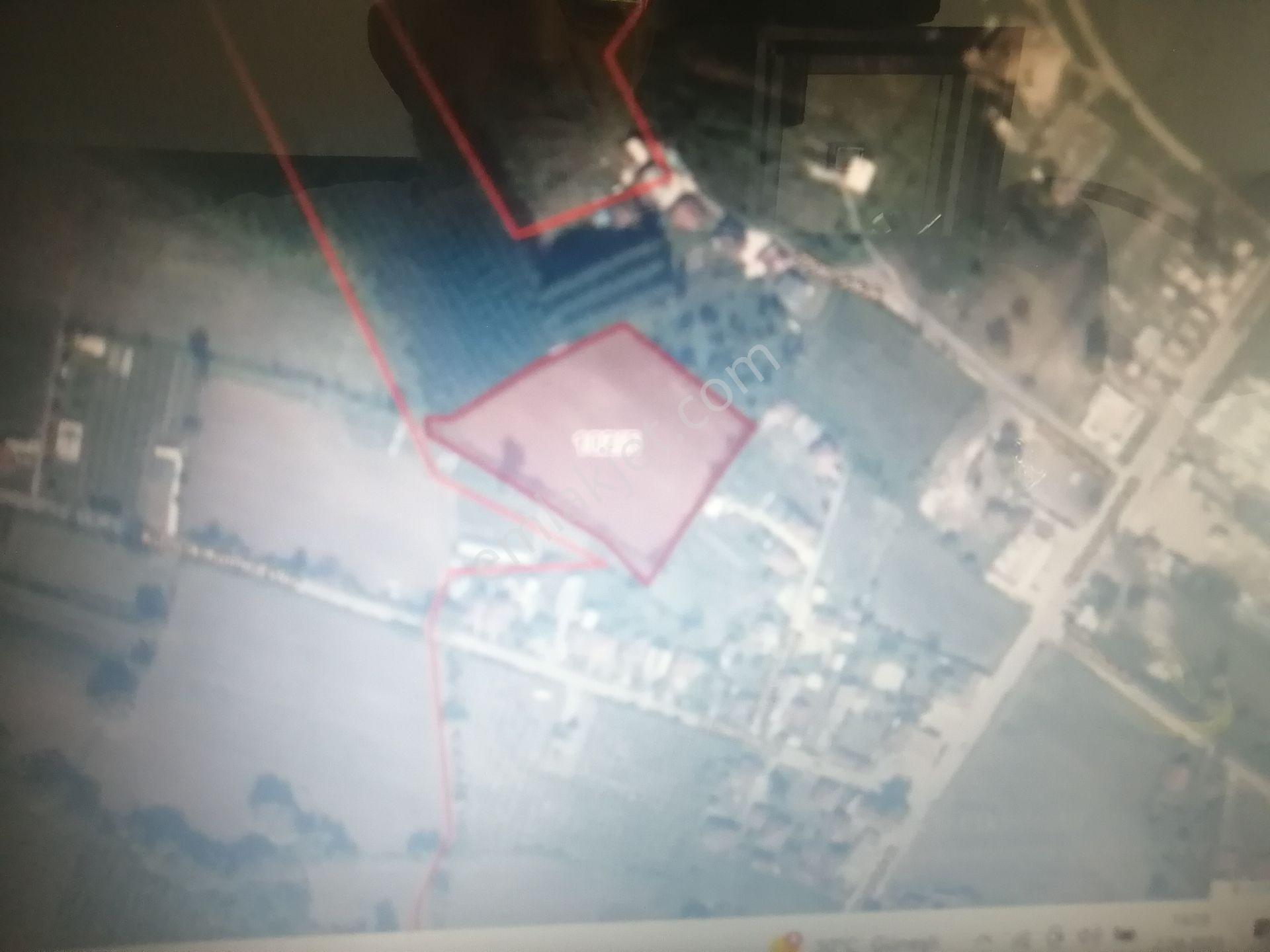 Küçük Ahmetler Köyü 2903 M2 Tarla - Görsel 5