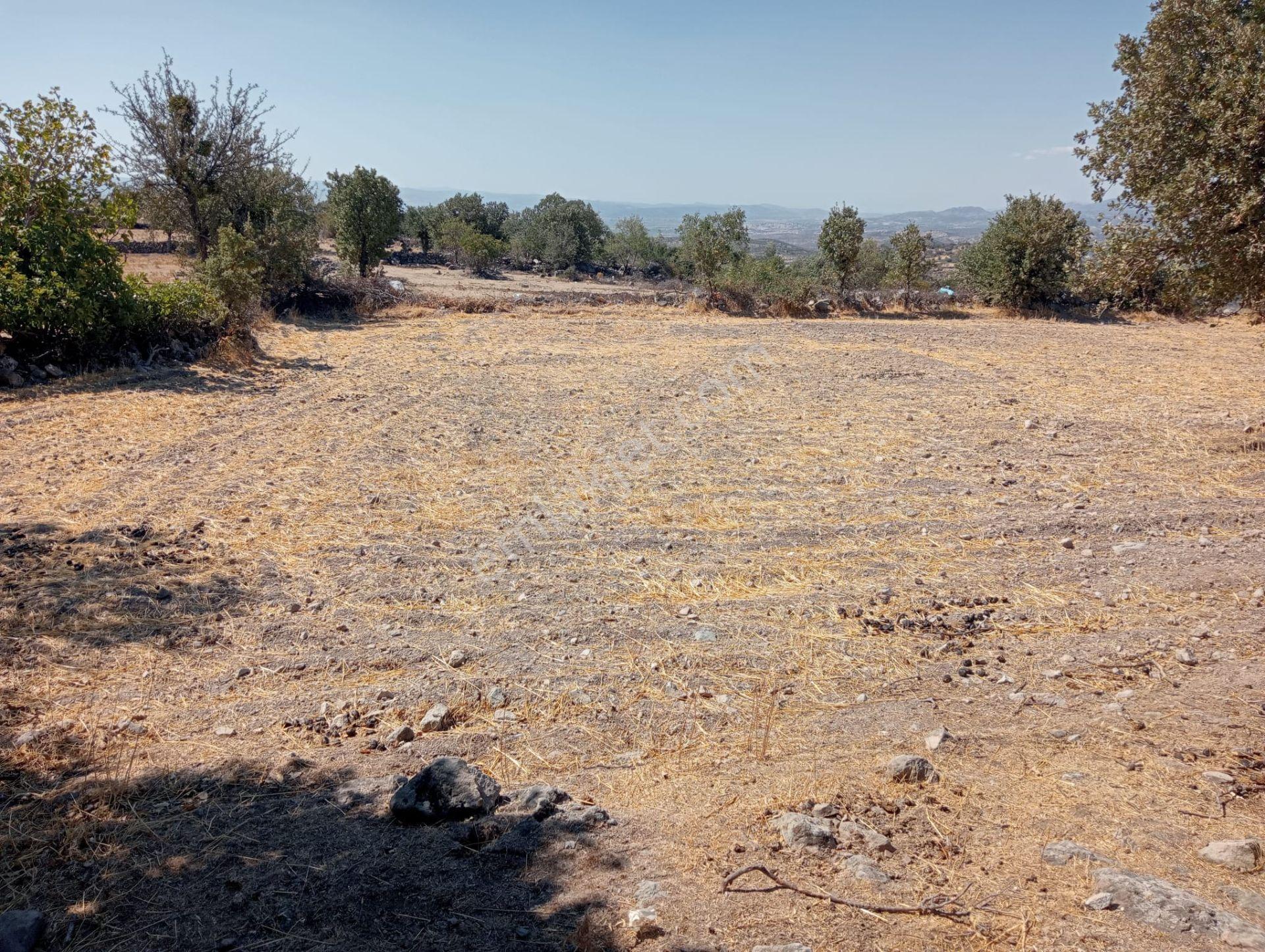 Bergama Durmuşlar Da Şantiye Dibi Yatırımlık 5760 M2 Tarla - Görsel 4