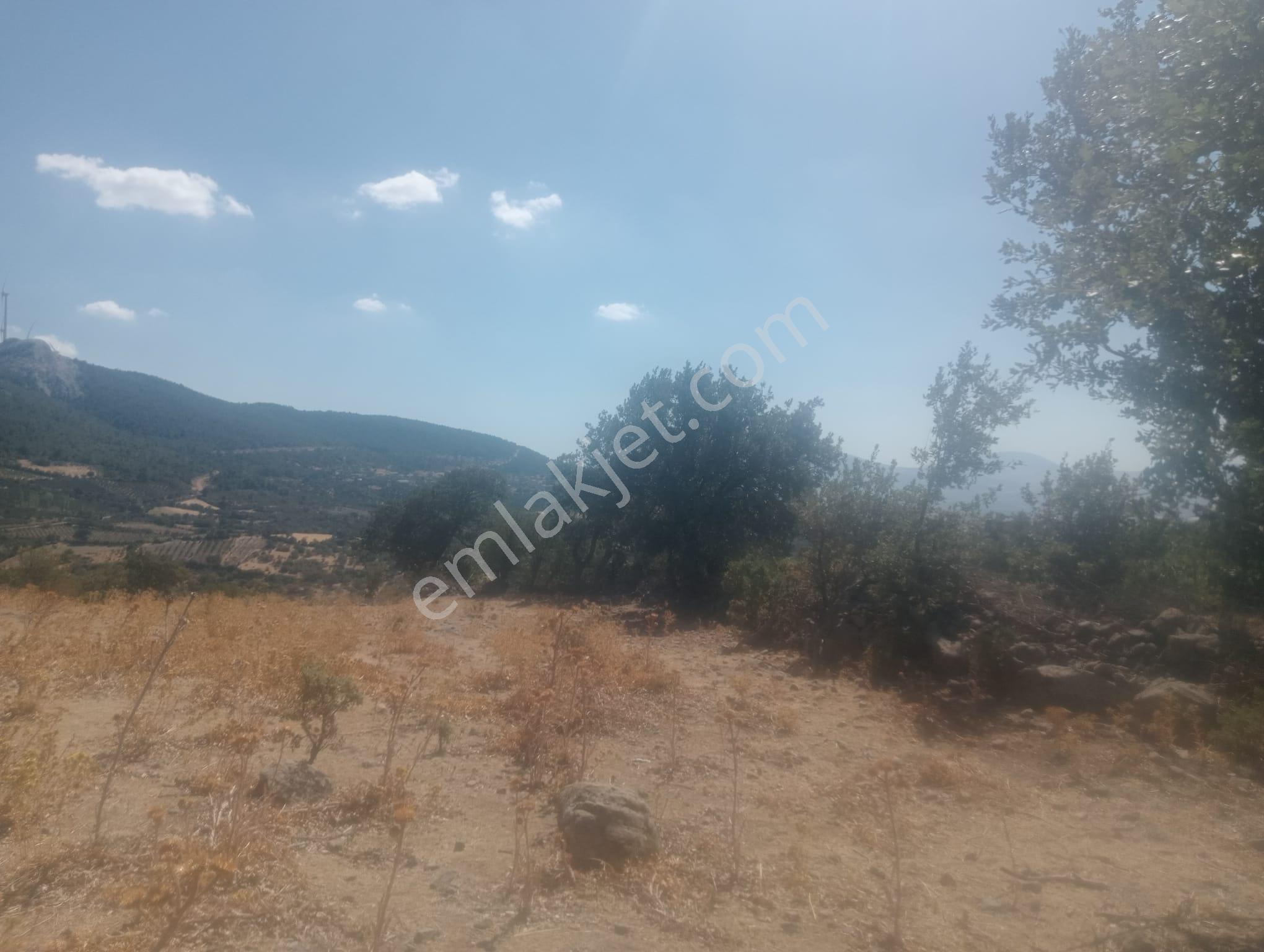Bergama Durmuşlar Da Şantiye Dibi Yatırımlık 5760 M2 Tarla - Görsel 8