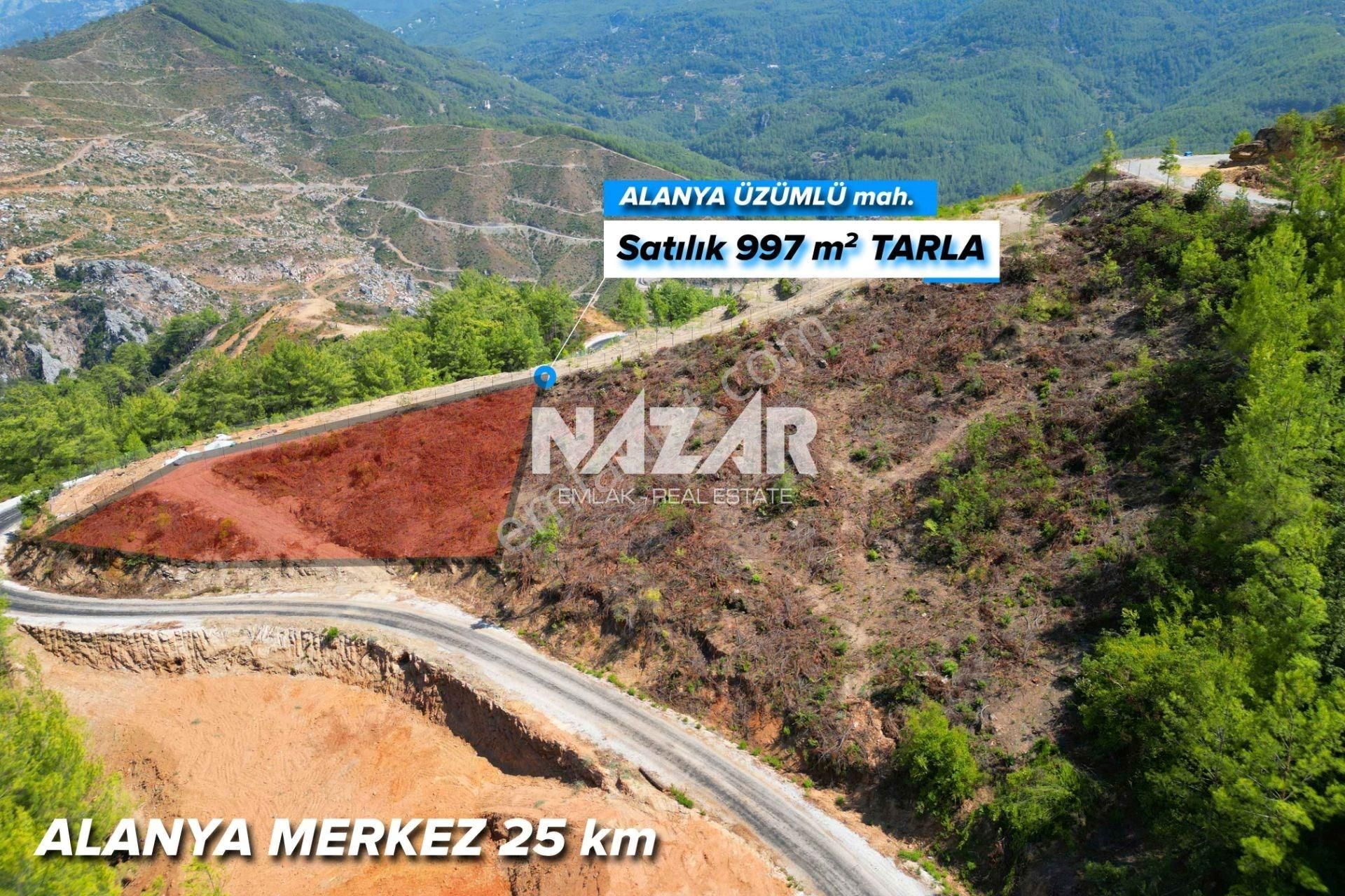 Alanya Üzümlü’de 997 M² Satılık Tarla - Görsel 2