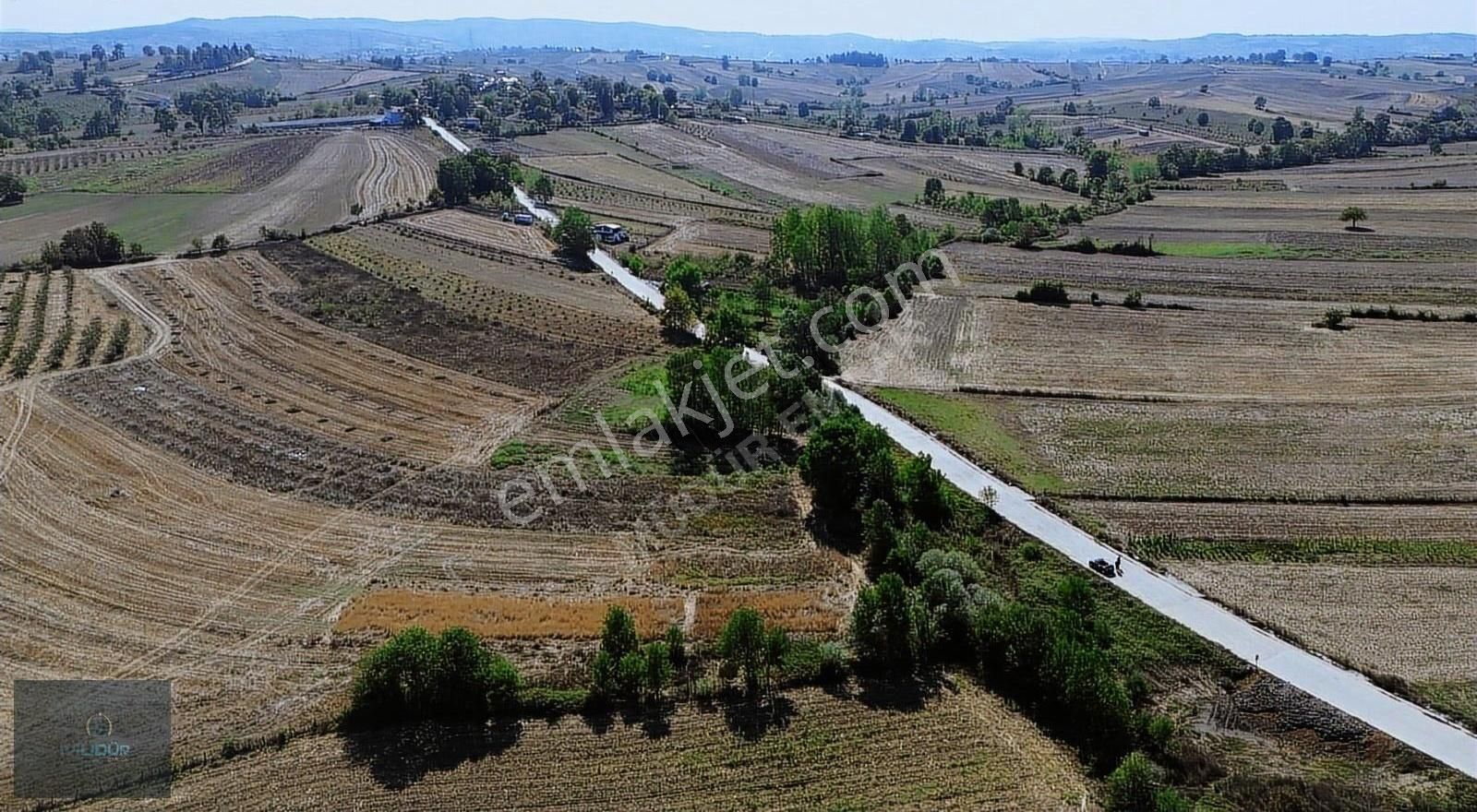 Karadivan Yatırımlık Tarla - Görsel 18