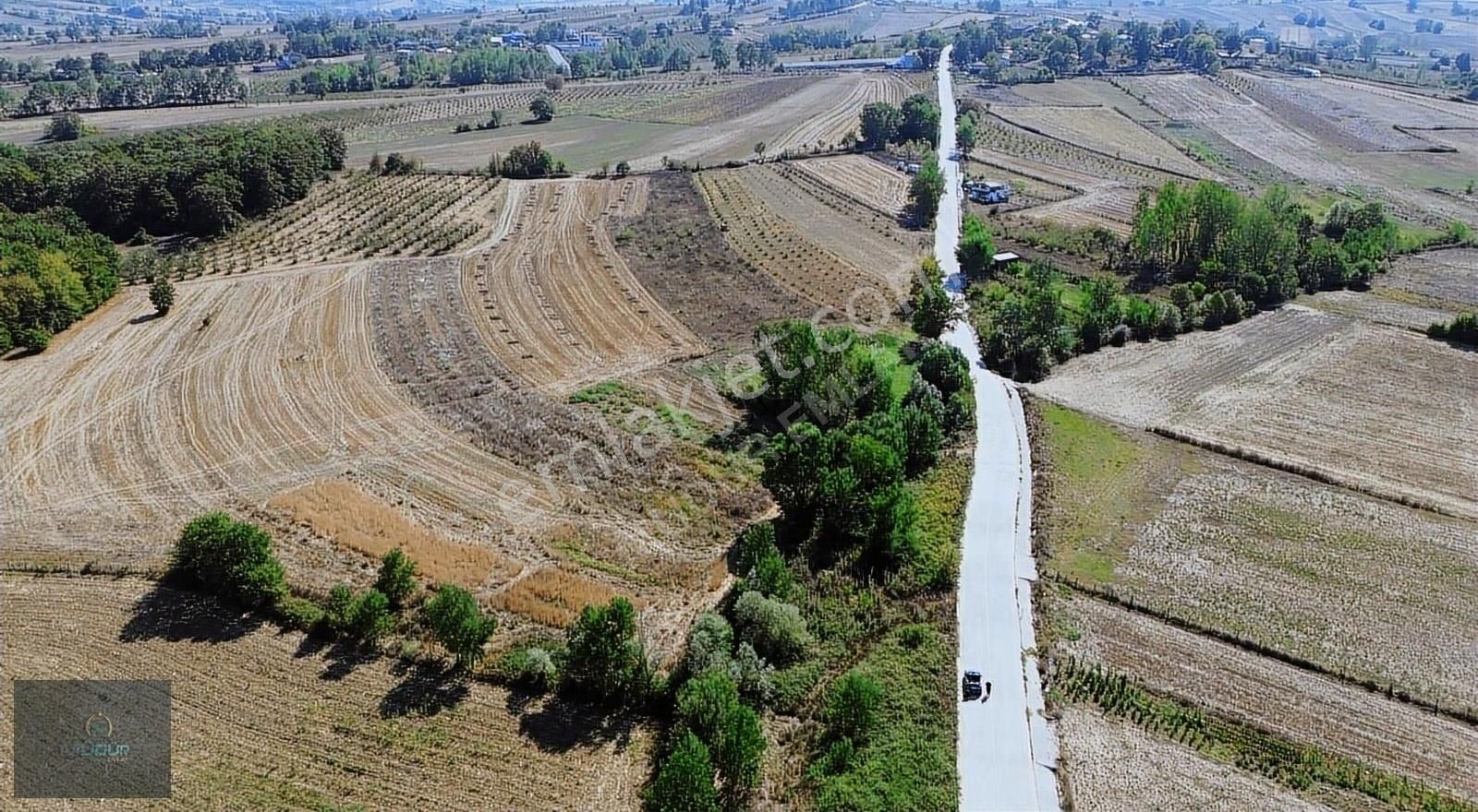 Karadivan Yatırımlık Tarla - Görsel 21