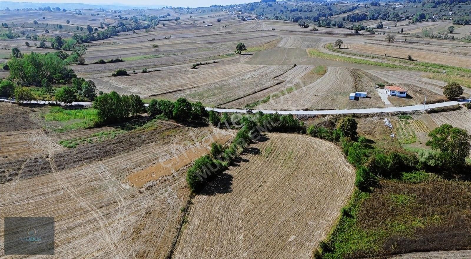 Karadivan Yatırımlık Tarla - Görsel 3