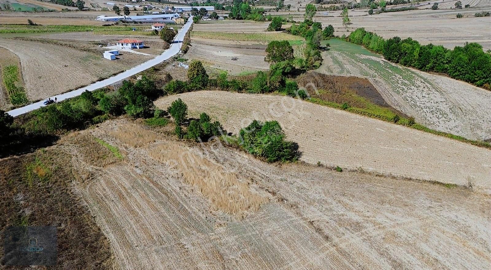 Karadivan Yatırımlık Tarla - Görsel 32