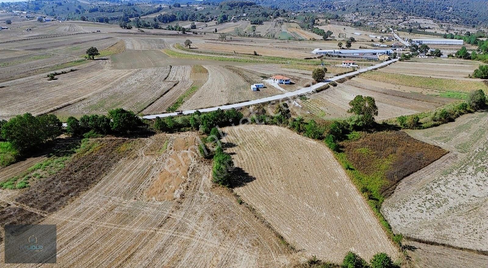 Karadivan Yatırımlık Tarla - Görsel 33