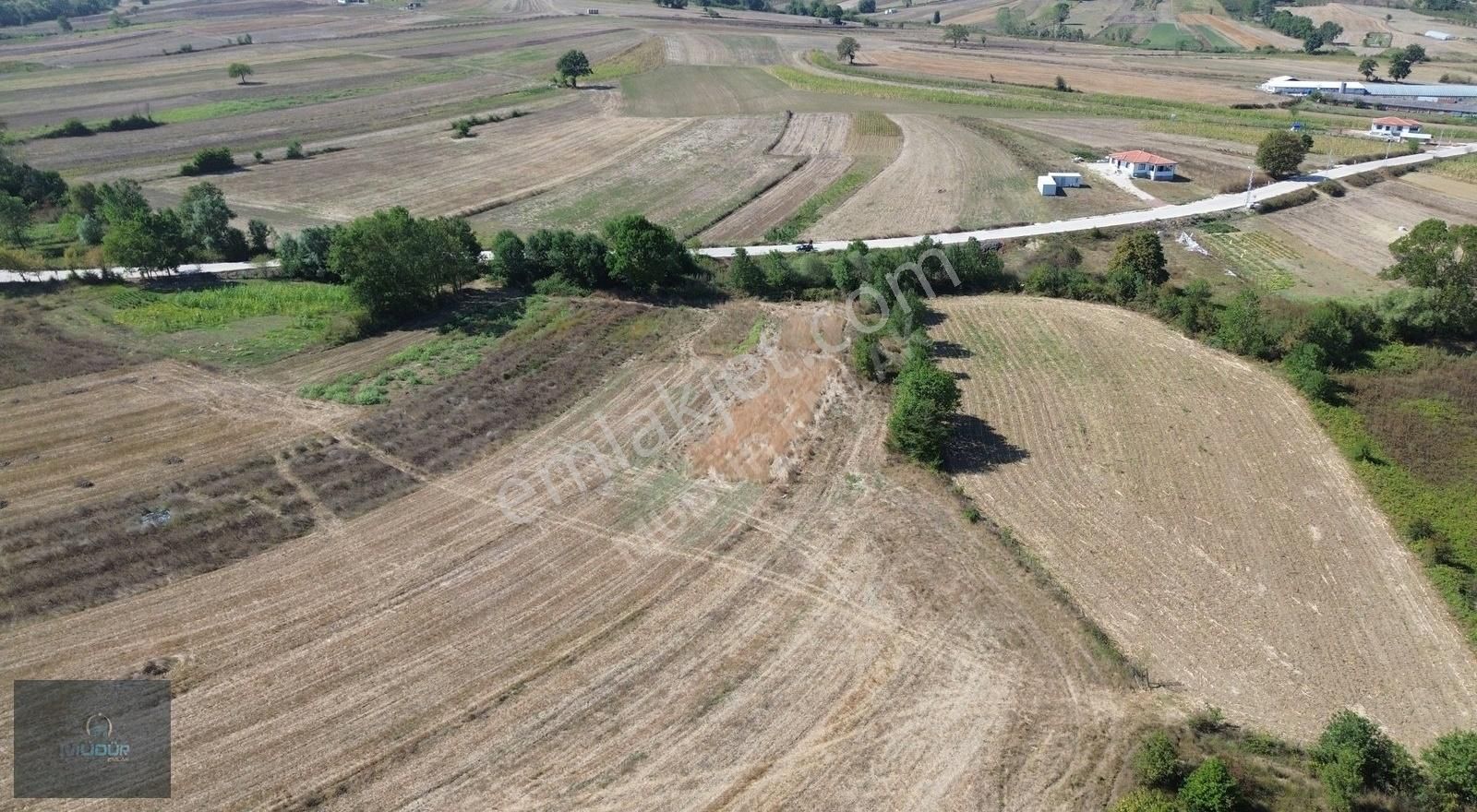 Karadivan Yatırımlık Tarla - Görsel 24