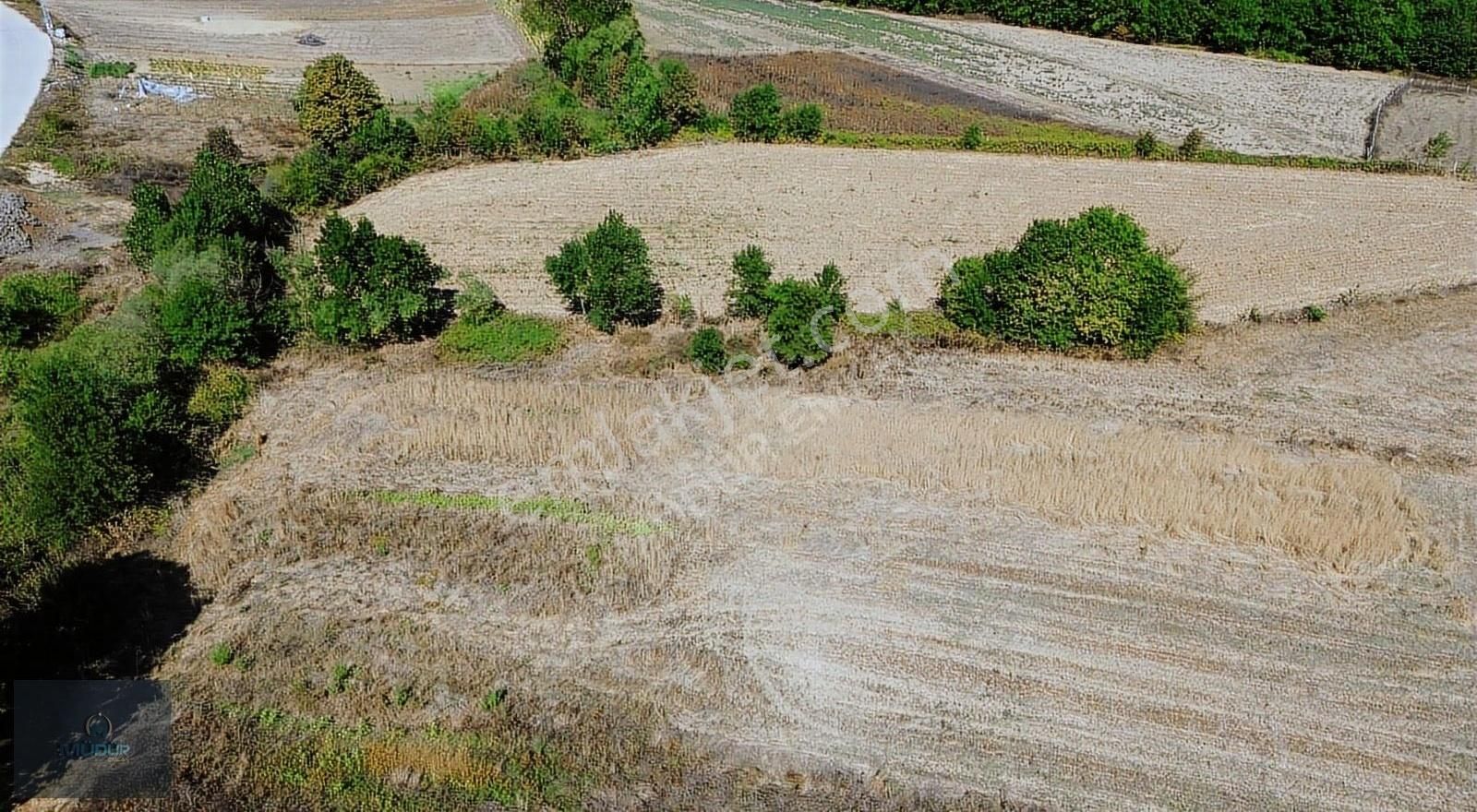 Karadivan Yatırımlık Tarla - Görsel 20