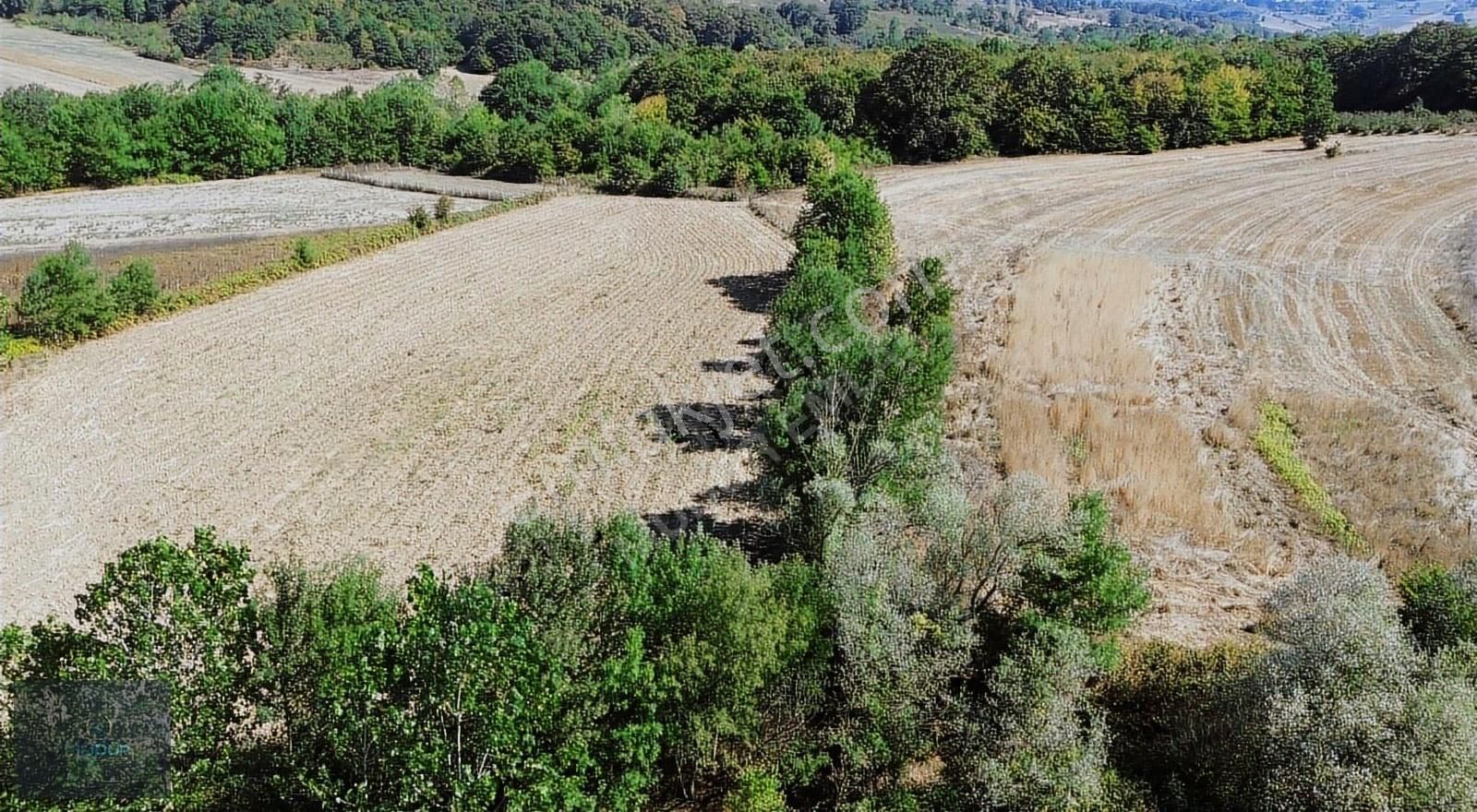 Karadivan Yatırımlık Tarla - Görsel 13