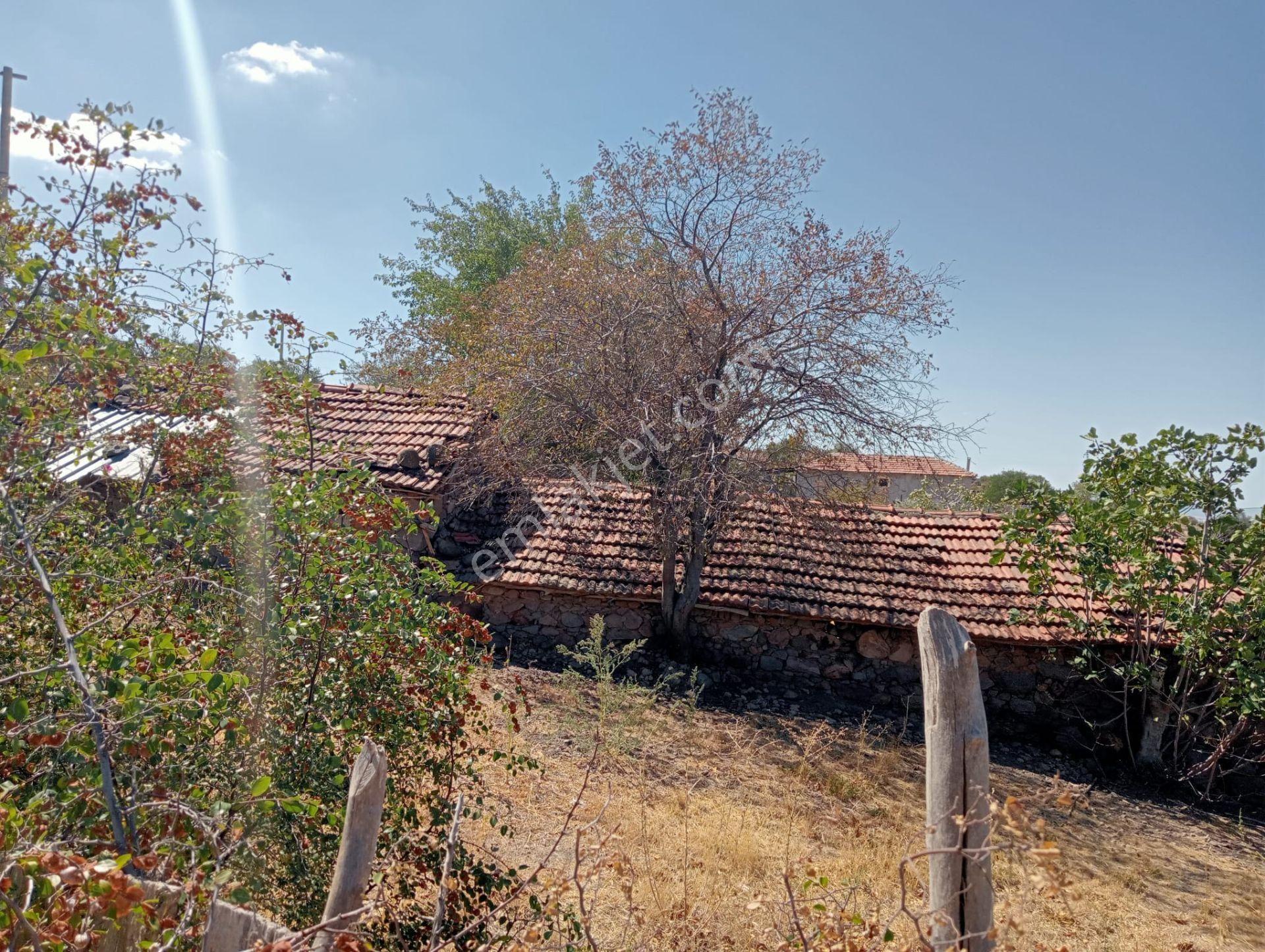 Komutan Emlaktan Bergama Durmuşlarda Köyünde 1.631 M2 Arsa - Görsel 15