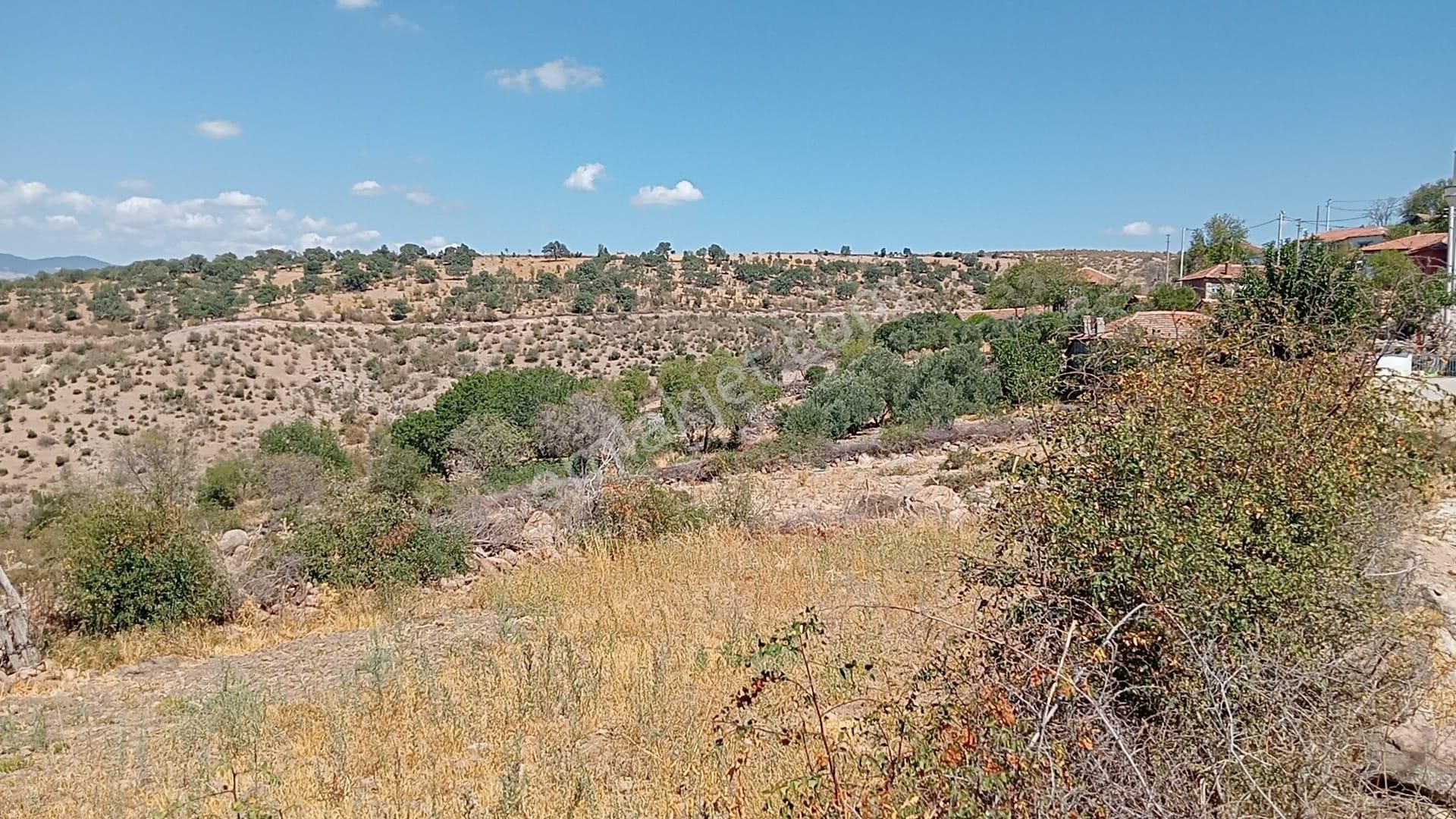 Komutan Emlaktan Bergama Durmuşlarda Köyünde 1.631 M2 Arsa - Görsel 6