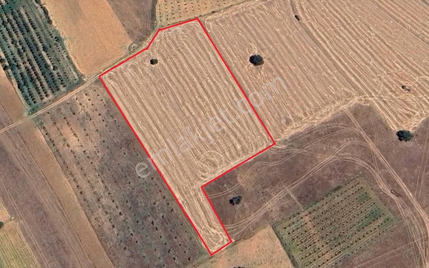 Elmalı İslamlar Mahallesinde Anayola Yakın 10200m² Satılık Tarla - Görsel 4