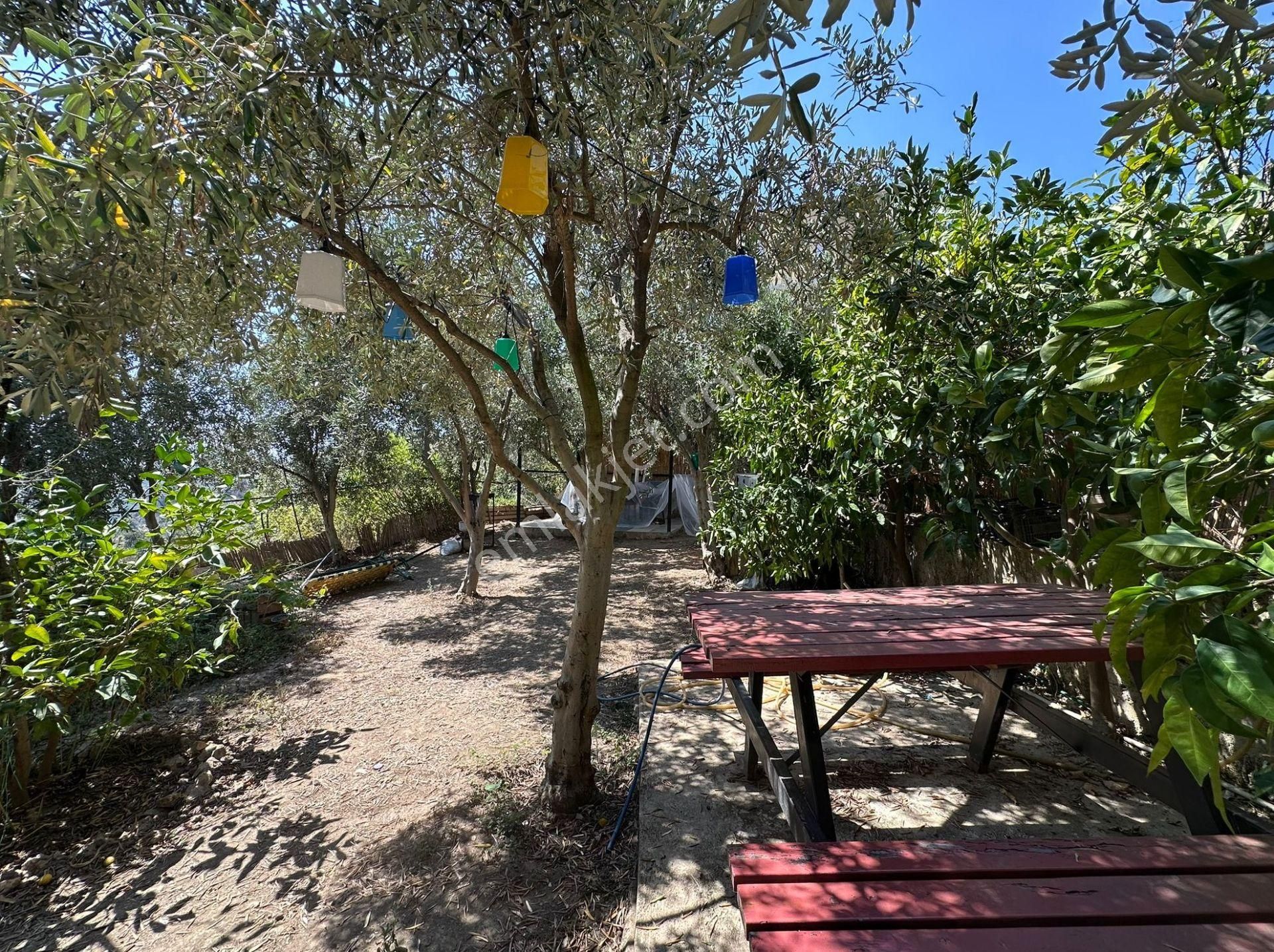 Acill Alanya Gözüküçüklü Mah.eşyalı Satılık 2+1 Müstakil Ev - Görsel 16