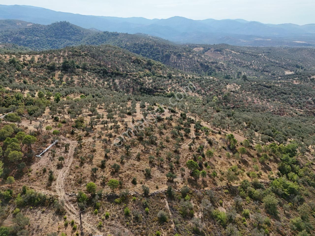 Startkey Burhaniye'den Deniz Manzaralı Satılık 7138 M2 Zeytinlik - Görsel 20