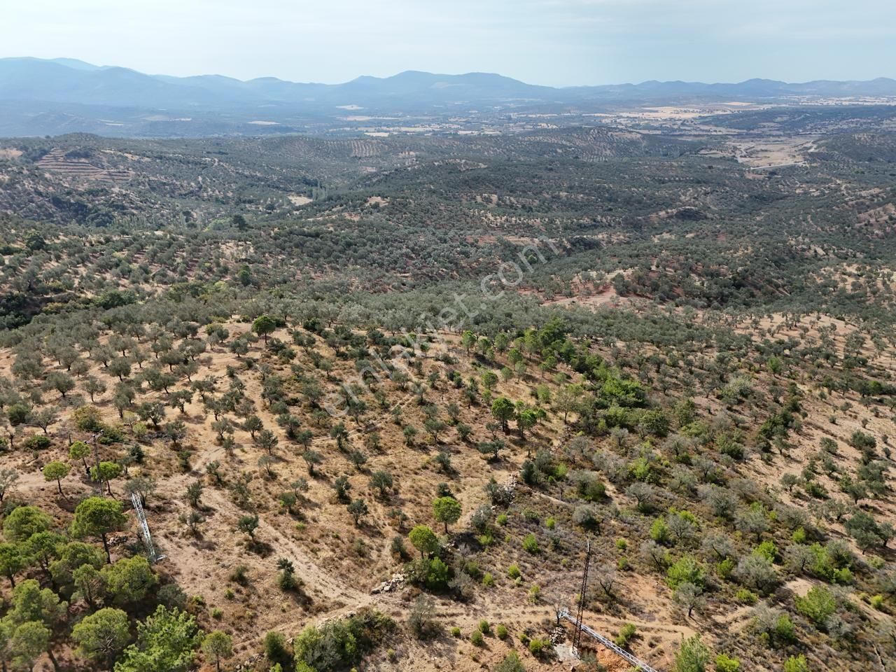 Startkey Burhaniye'den Deniz Manzaralı Satılık 7138 M2 Zeytinlik - Görsel 21