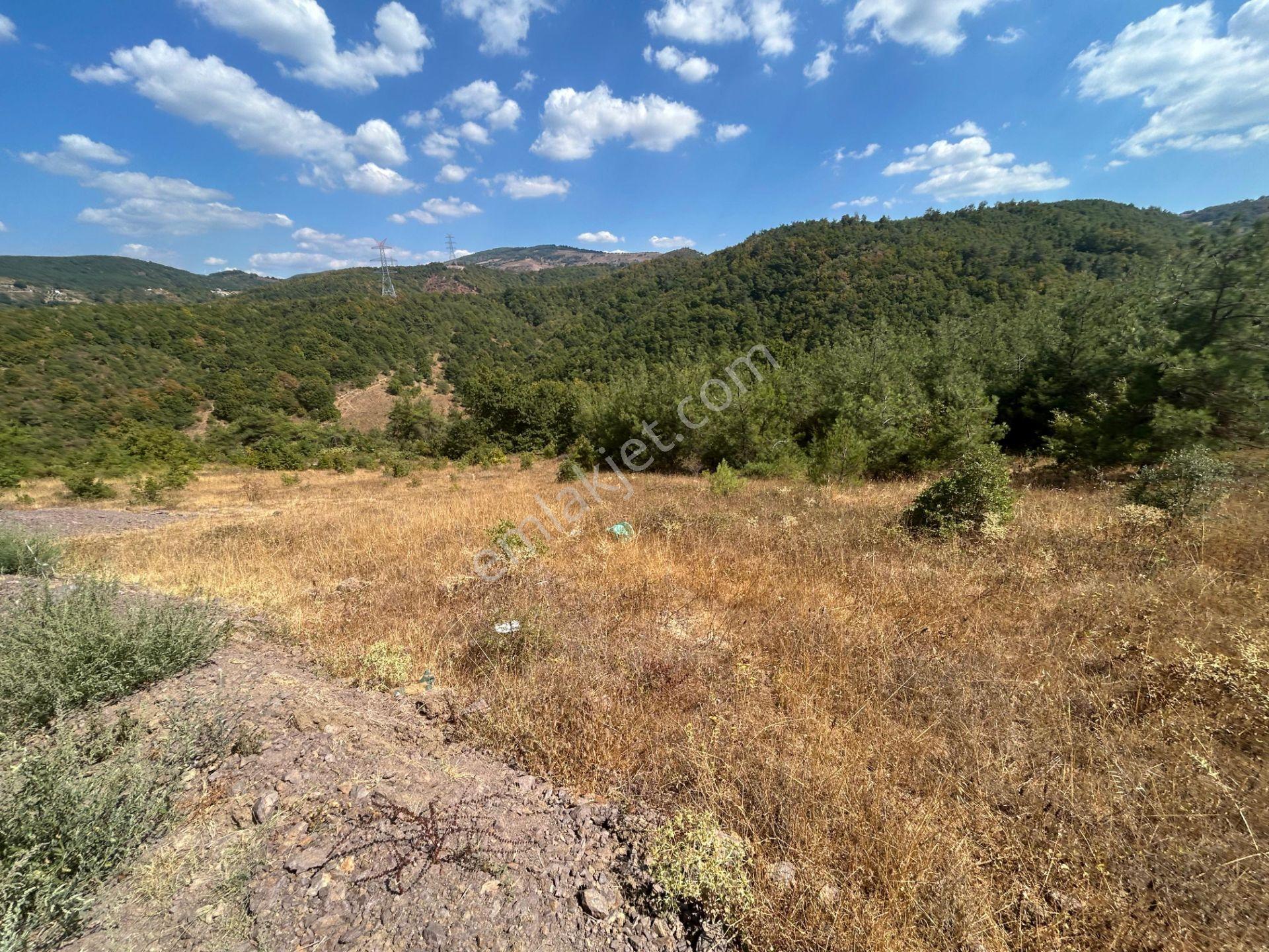 Kocaeli Karamürsel Çamdibi 9.299 M2 Satılık Fırsat Tarla - Görsel 4