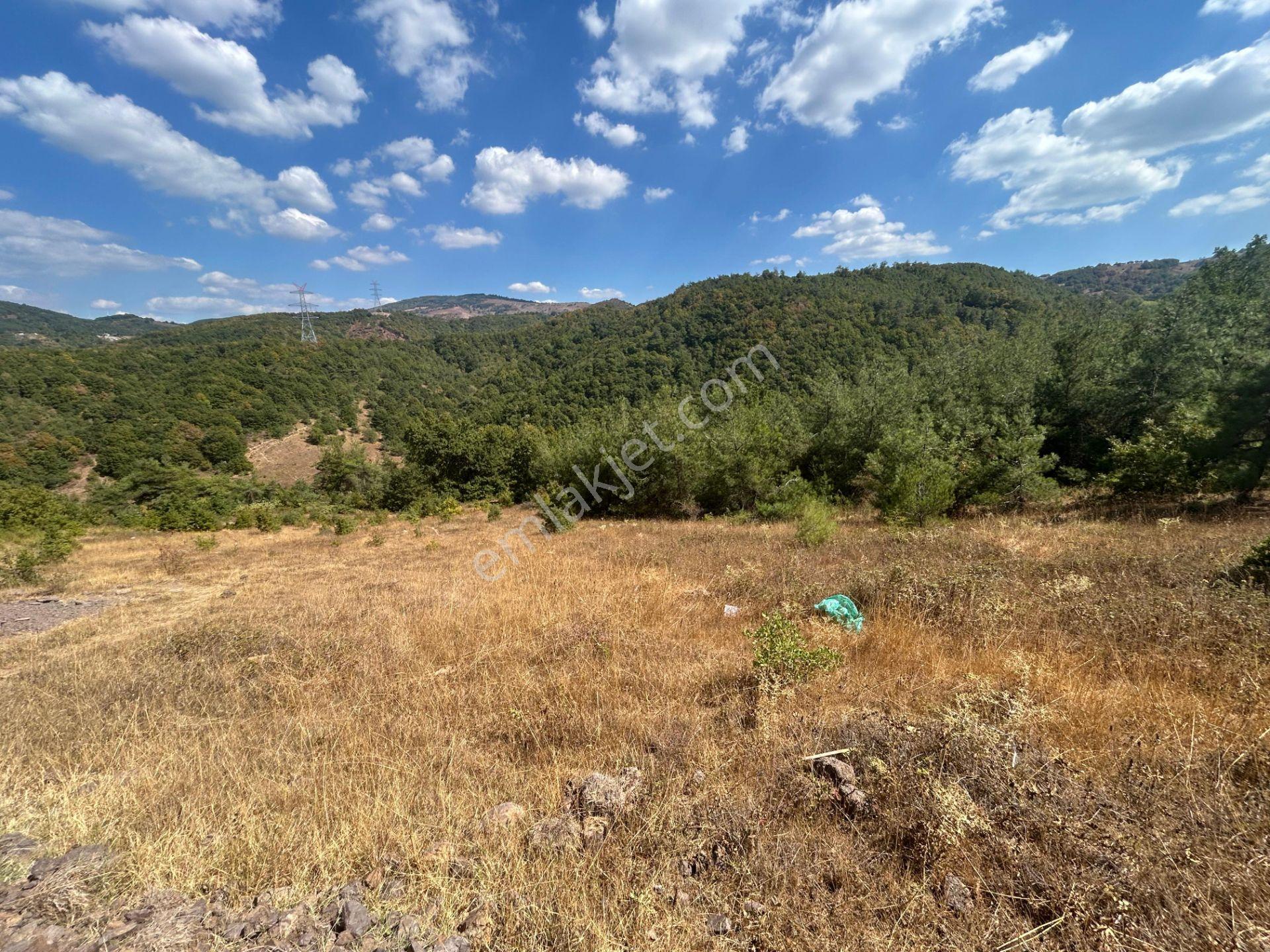 Kocaeli Karamürsel Çamdibi 9.299 M2 Satılık Fırsat Tarla - Görsel 6