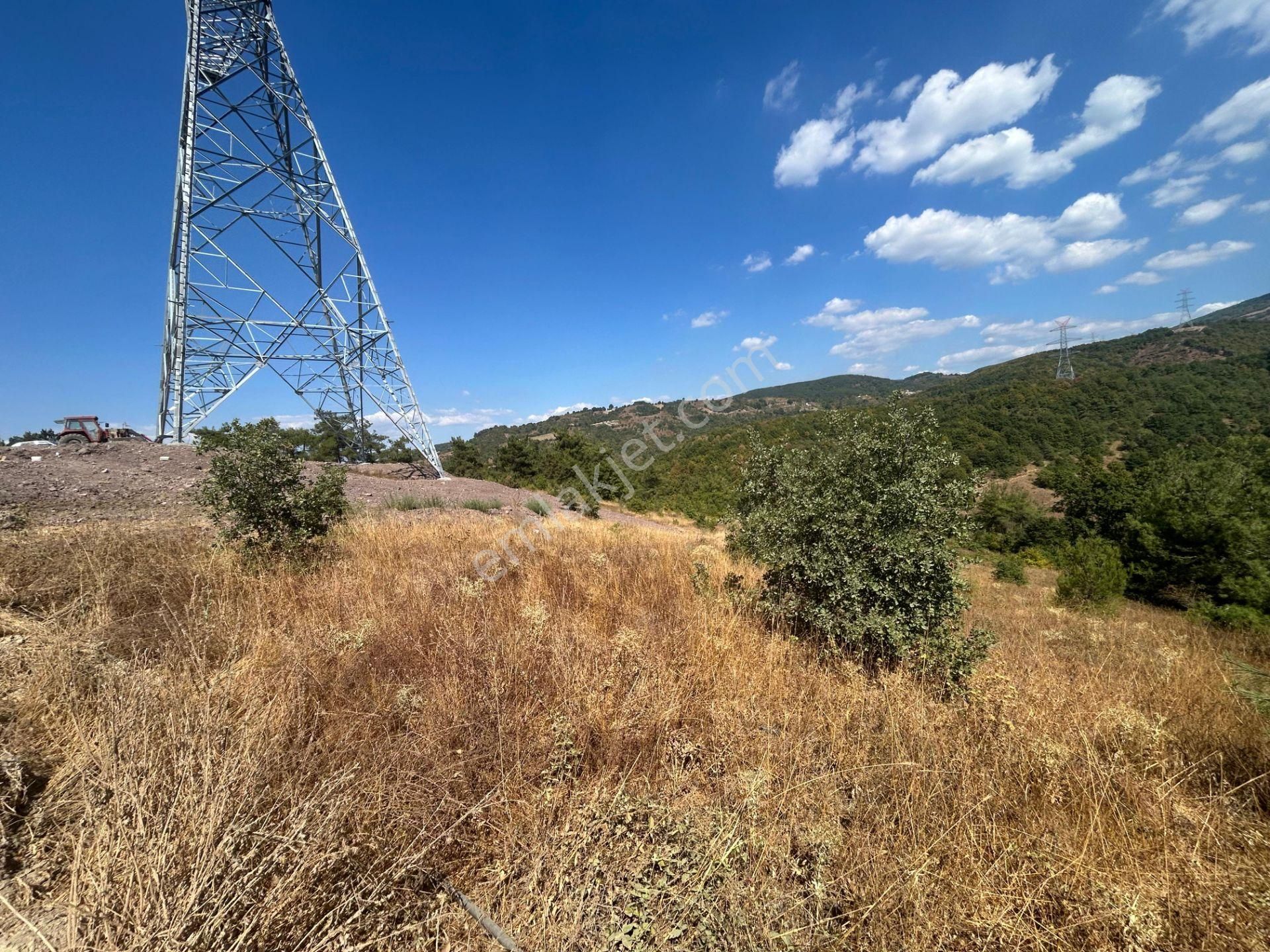 Kocaeli Karamürsel Çamdibi 9.299 M2 Satılık Fırsat Tarla