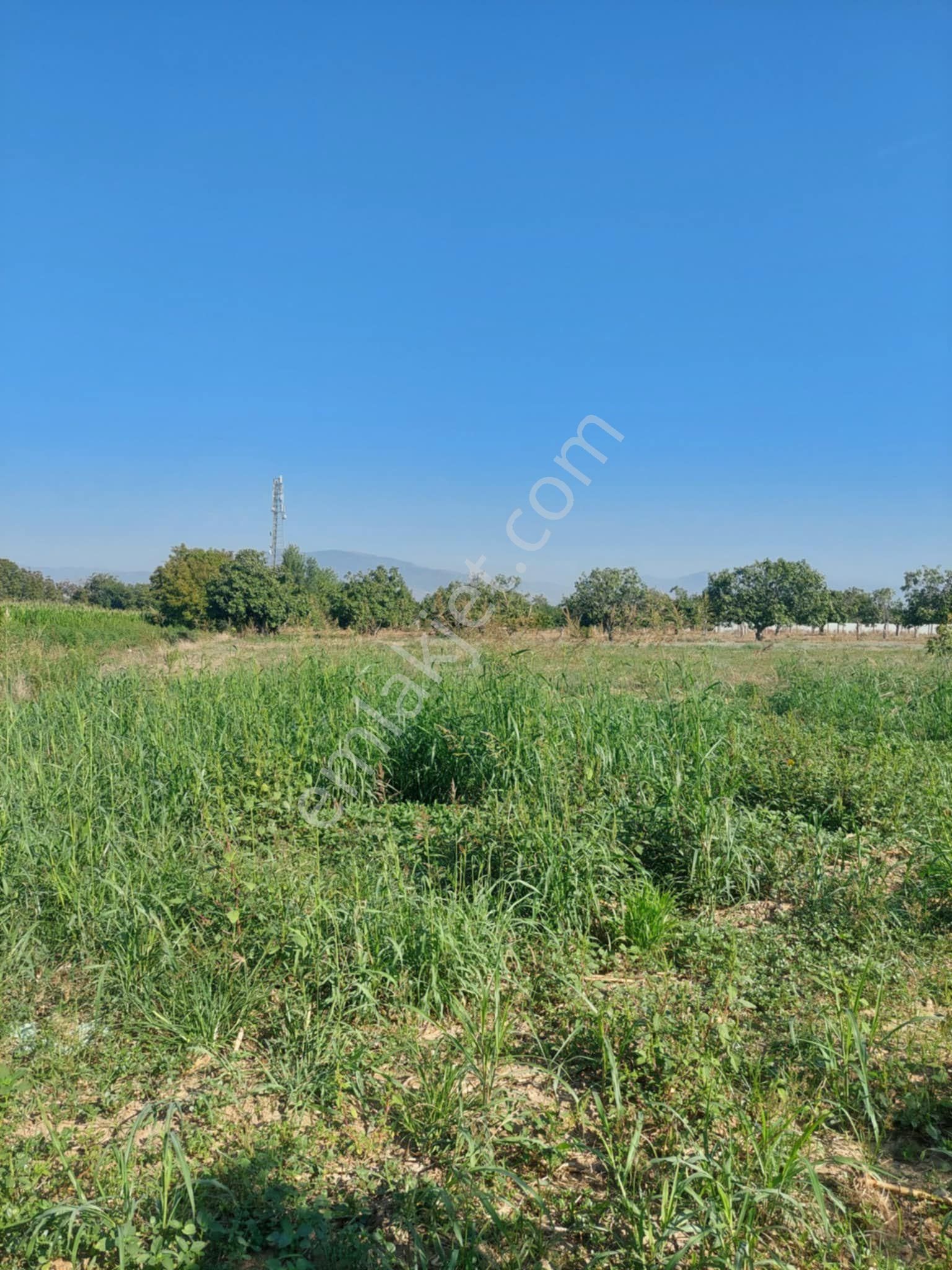 Tire Doğuş Emlaktan Satılık Arsa Tireye 10 Dk - Görsel 7