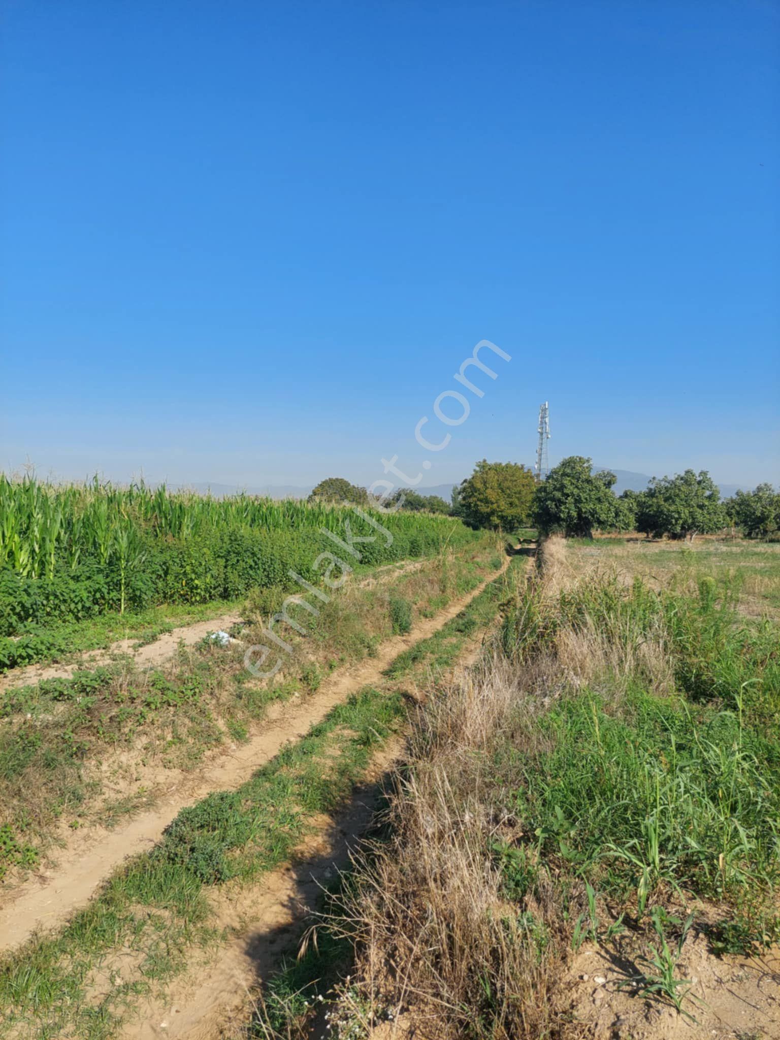 Tire Doğuş Emlaktan Satılık Arsa Tireye 10 Dk - Görsel 2