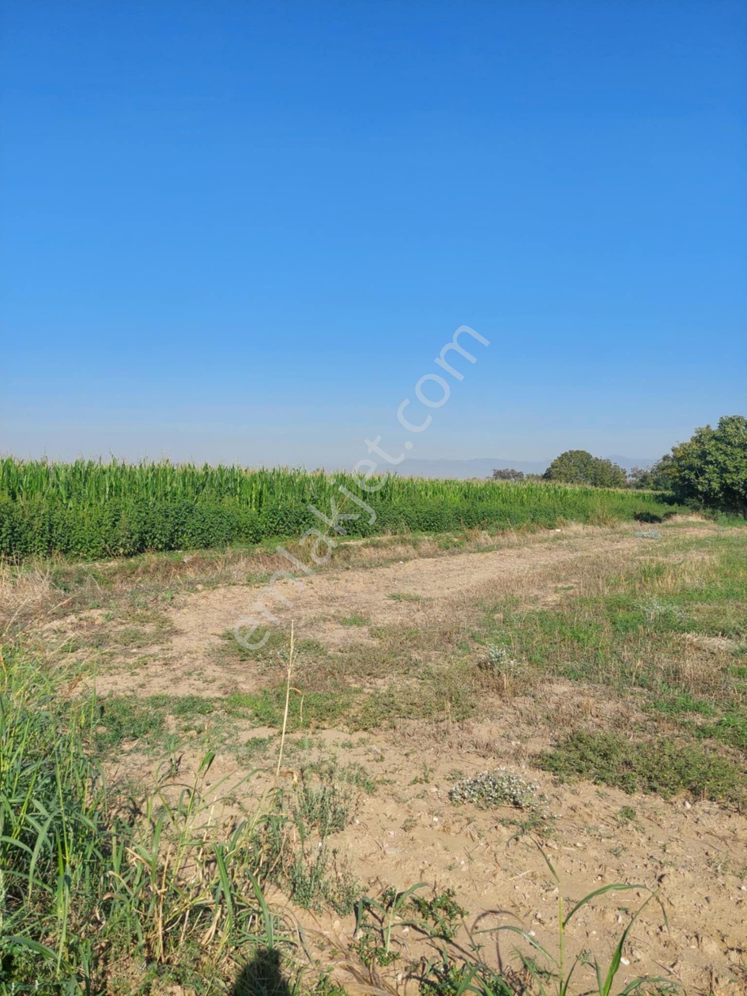 Tire Doğuş Emlaktan Satılık Arsa Tireye 10 Dk - Görsel 3