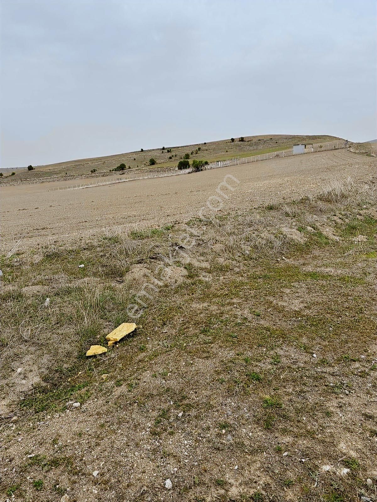 Sarayda Sanayi İmarlı 2000 M2 Tek Tapu Satılık Arsa - Görsel 2