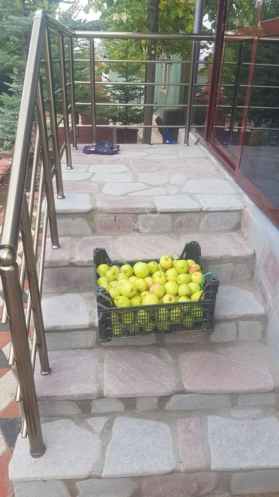 Memlikte Kooperafin Yaptığı Sitede Satılık Hobi Bahçesi - Görsel 3