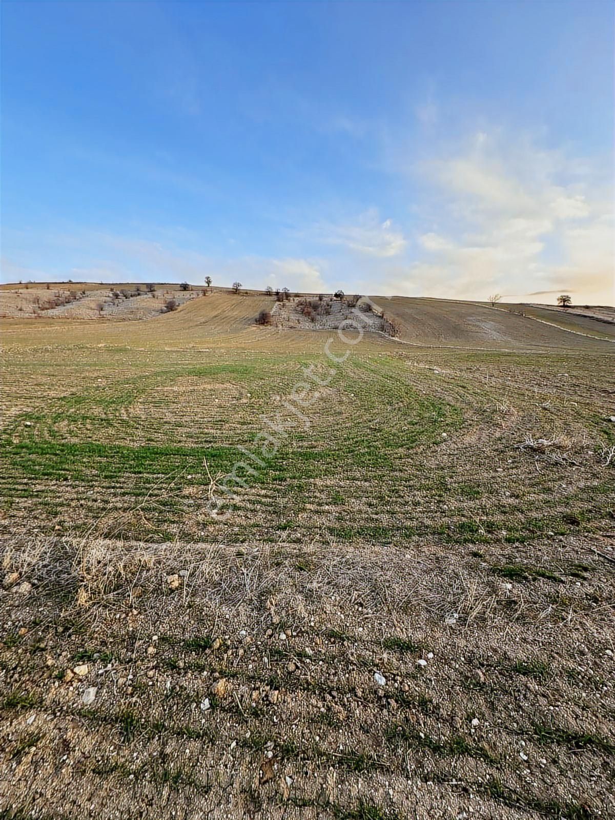 Ankara Kahramankazan Orhaniye De Satılık Arsa - Görsel 3
