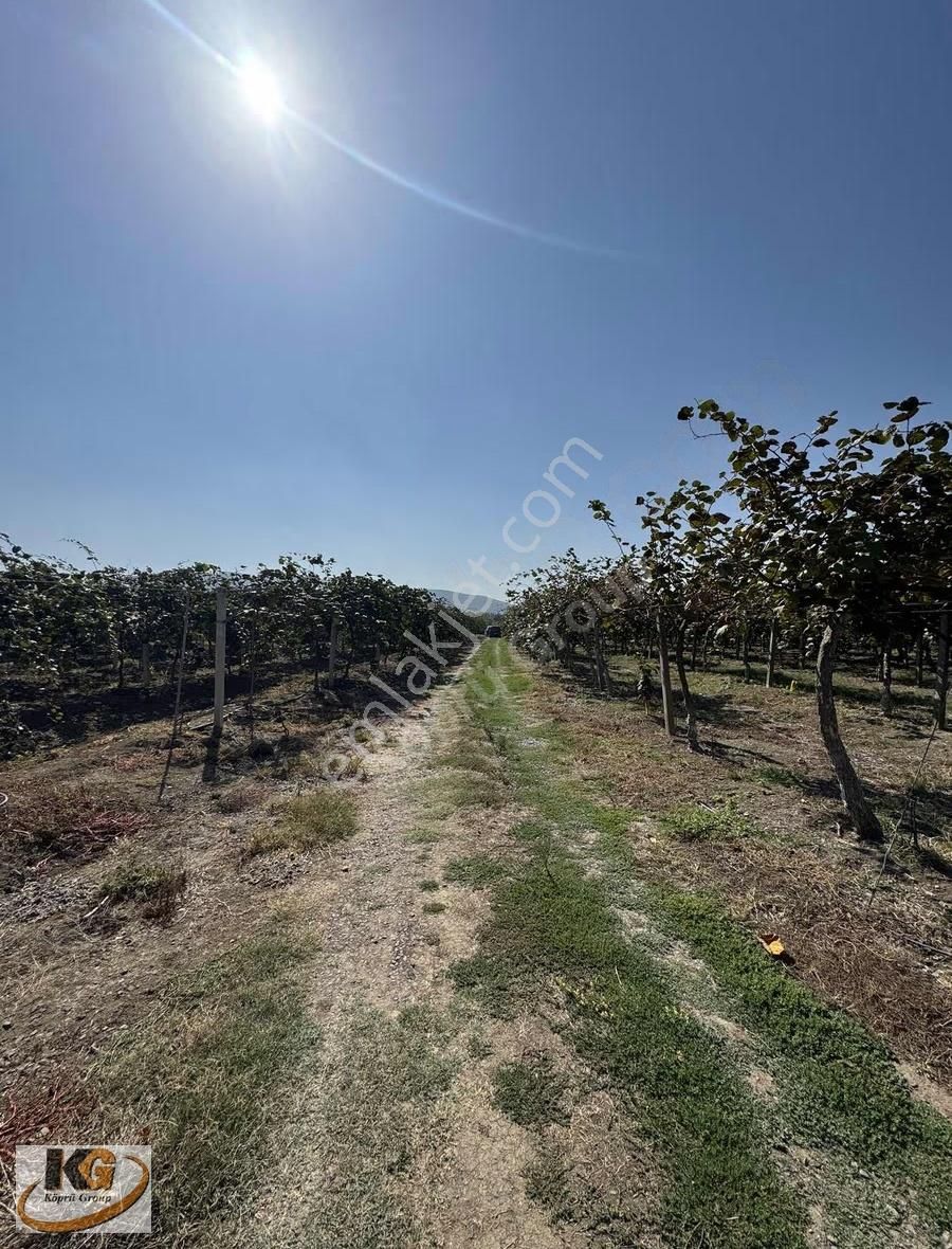 Köprü Grouptan Sanayi İmarlı 15876 M2 Fırsat Yatırımlık Yer - Görsel 13