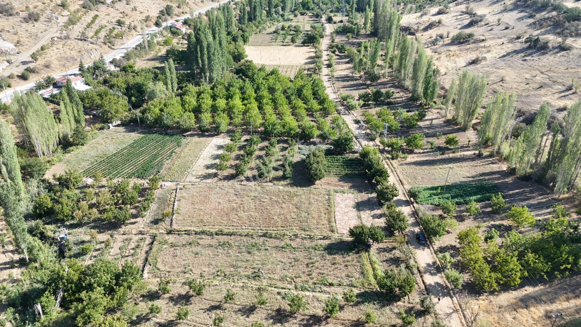 Karaman Çukurbağ Köyünde Satılık 1400 M2 Hobi Bahçesi - Görsel 15