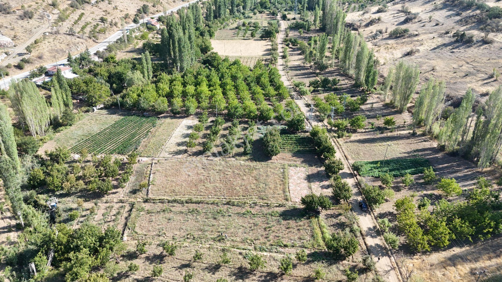 Karaman Çukurbağ Köyünde Satılık 1400 M2 Hobi Bahçesi - Görsel 16
