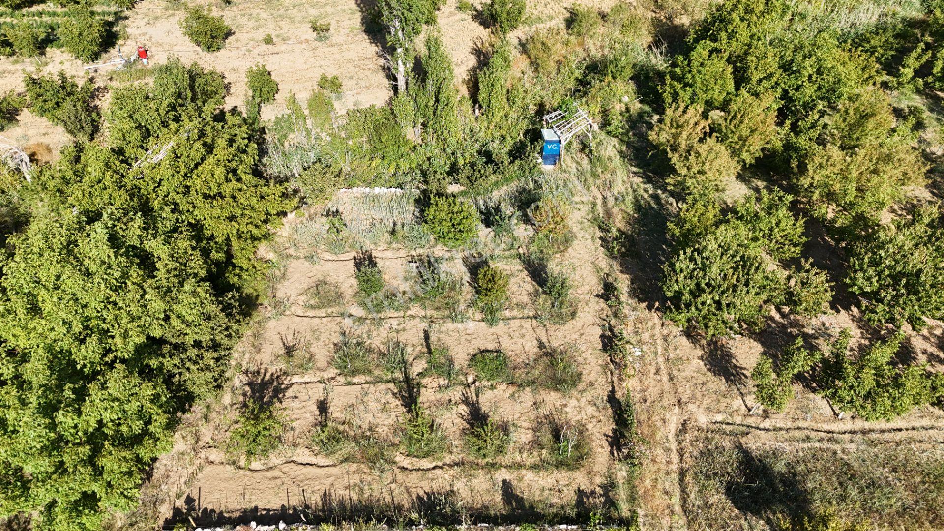 Karaman Çukurbağ Köyünde Satılık 1400 M2 Hobi Bahçesi - Görsel 3