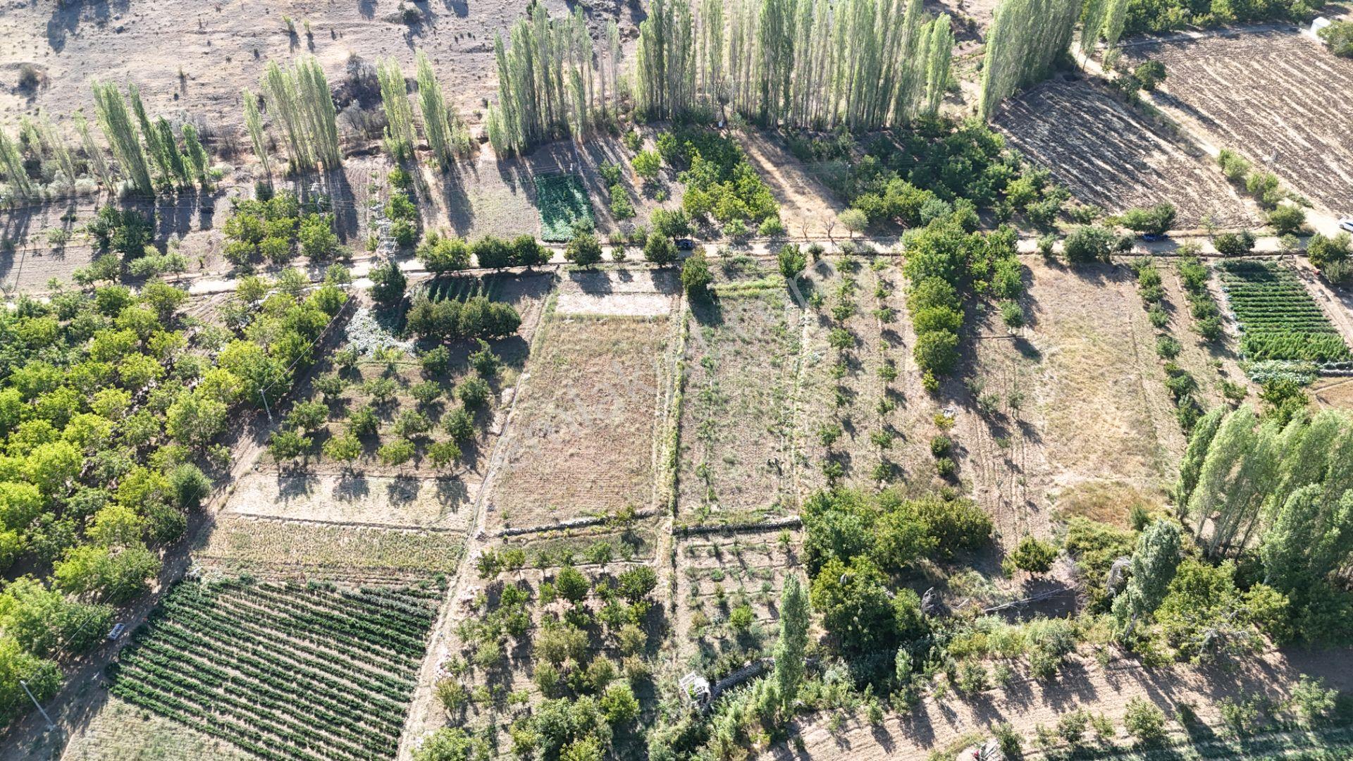 Karaman Çukurbağ Köyünde Satılık 1400 M2 Hobi Bahçesi - Görsel 17