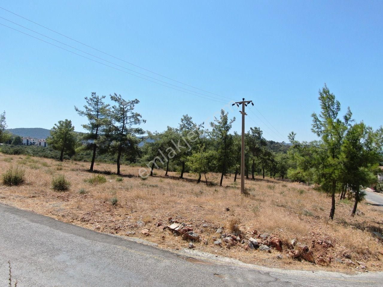 Akbük'te Deniz Manzaralı 500 M2 İmarlı Villa Arsası - Görsel 11