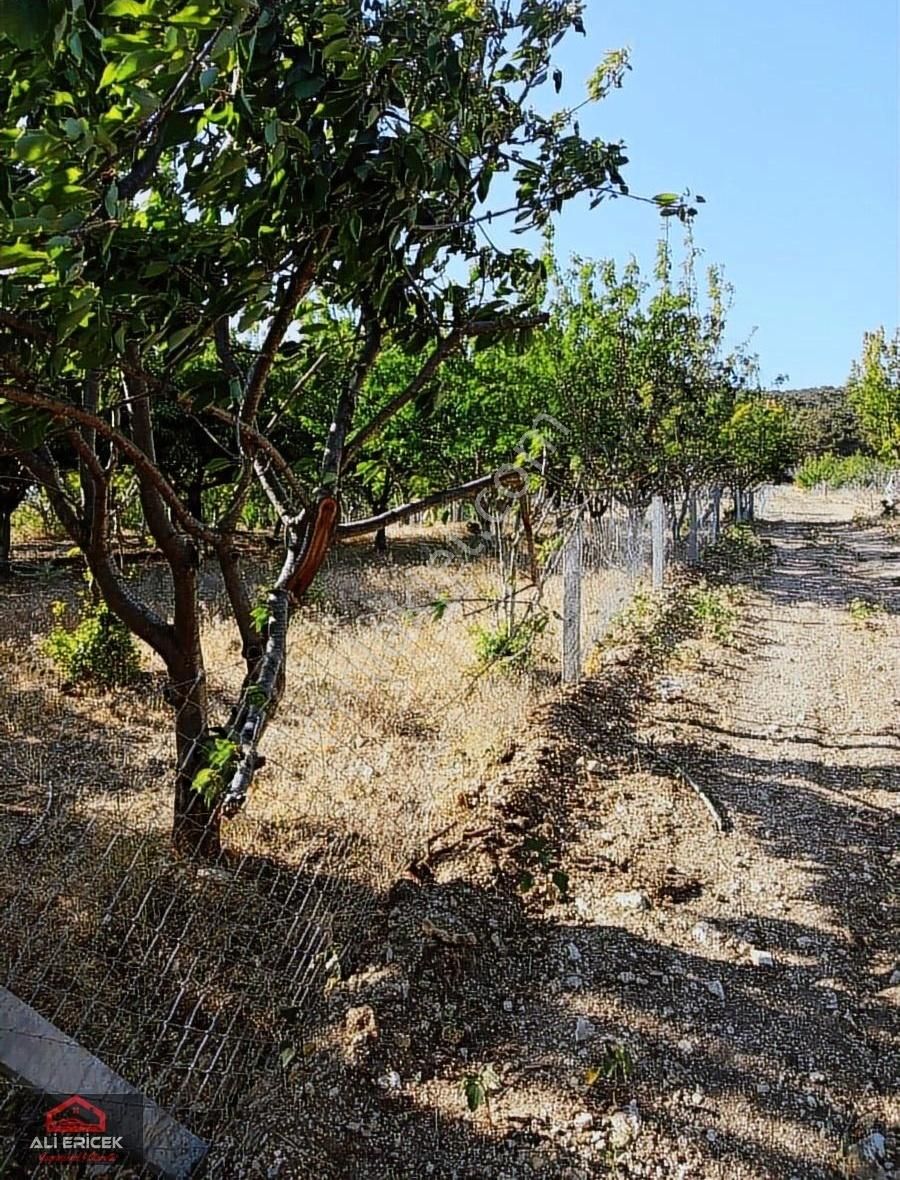 Damlacıkta Satılık 266m2 450.000 - Görsel 3