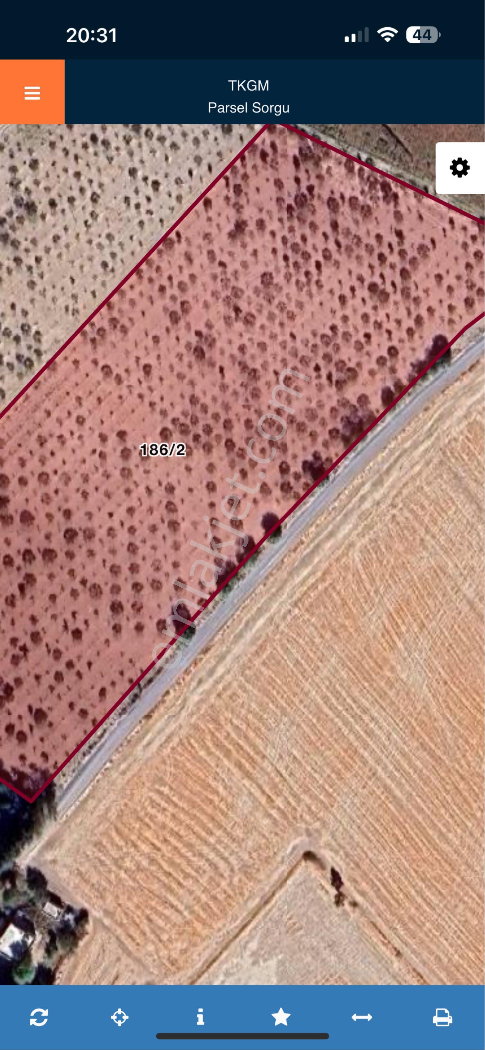 Şanlıurfa Karaköprüde Satılık Fıstıklık Tarla