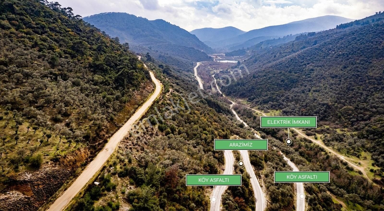 İzmir Bayındır Sarıyurt Köyünde Fırsat Zeytinlik! - Görsel 19