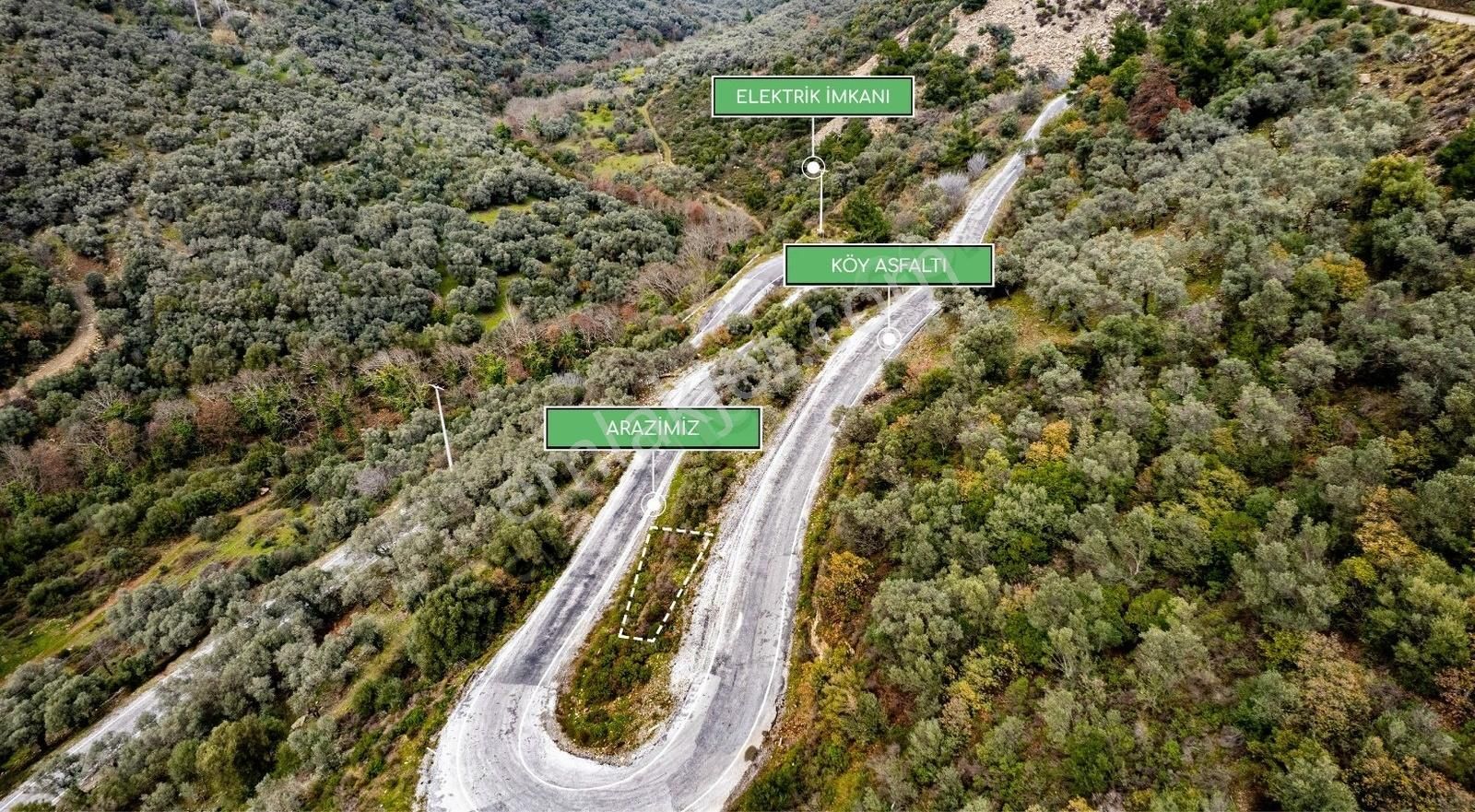 İzmir Bayındır Sarıyurt Köyünde Fırsat Zeytinlik! - Görsel 16