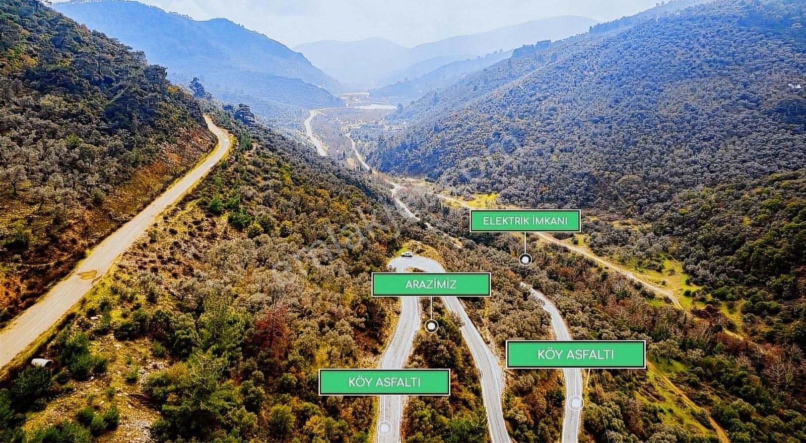 İzmir Bayındır Sarıyurt Köyünde Fırsat Zeytinlik! - Görsel 8