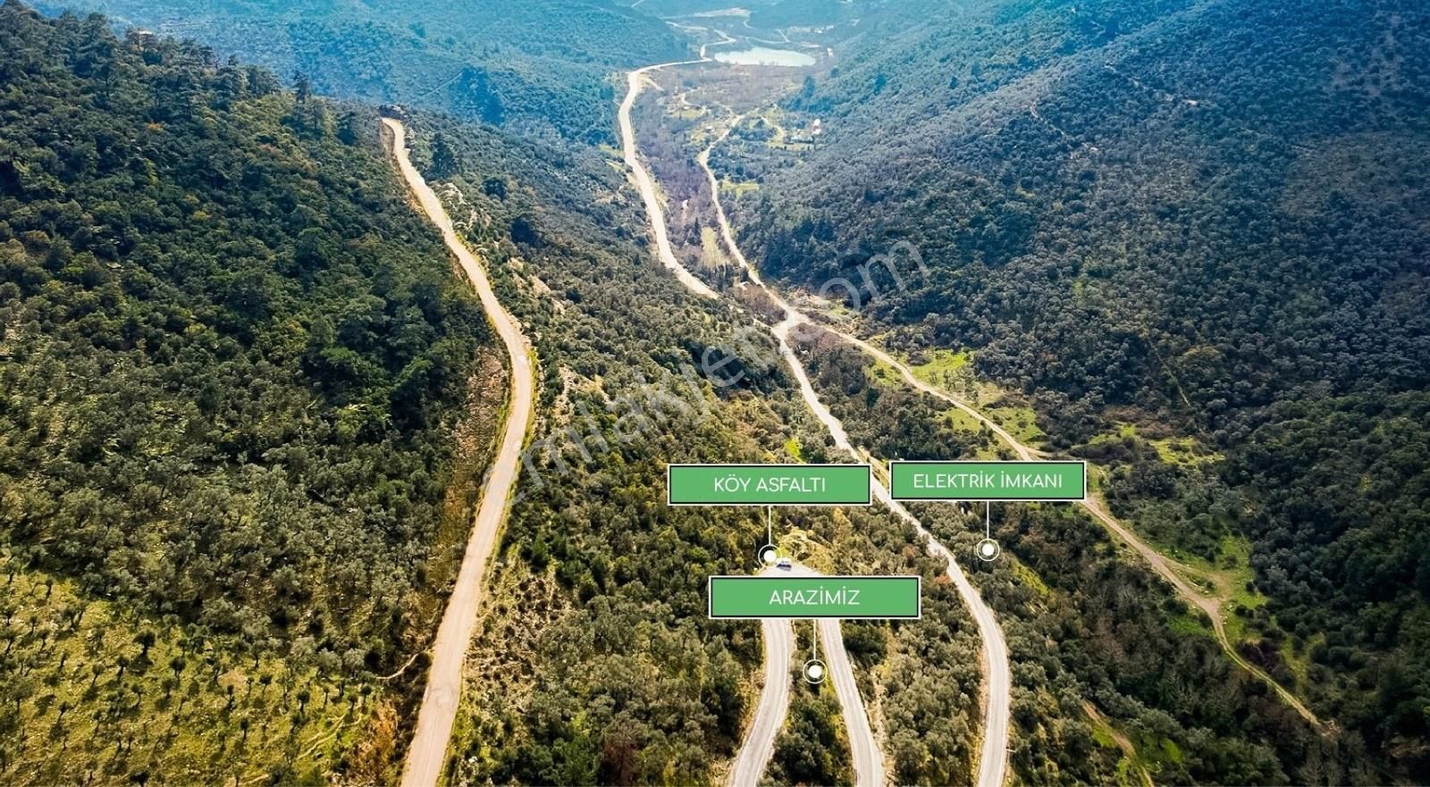 İzmir Bayındır Sarıyurt Köyünde Fırsat Zeytinlik! - Görsel 18