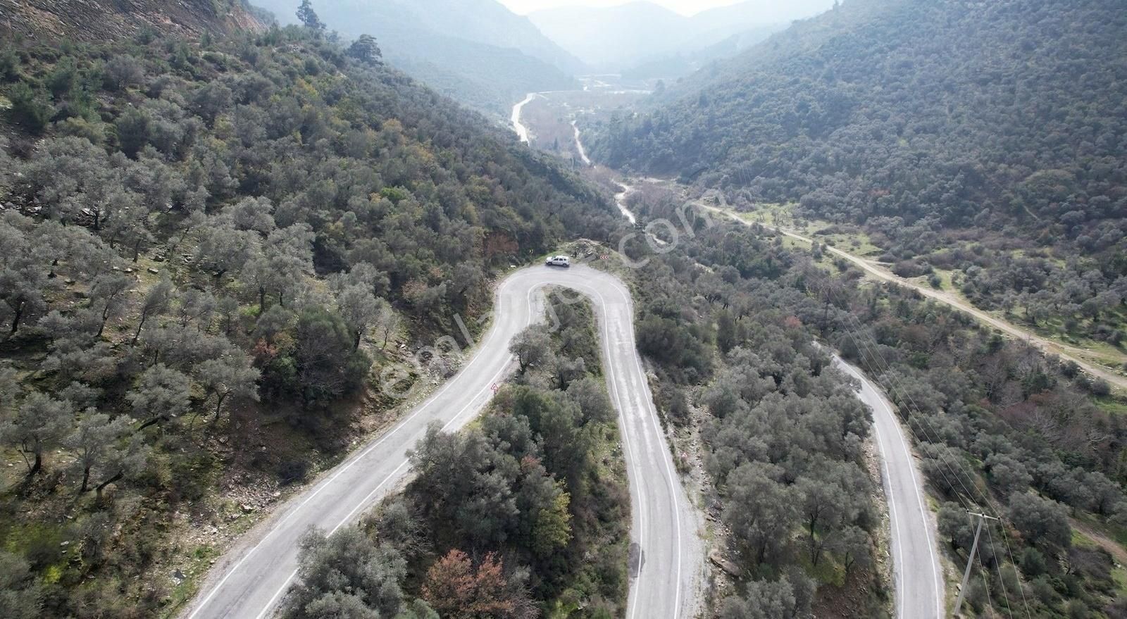 İzmir Bayındır Sarıyurt Köyünde Fırsat Zeytinlik! - Görsel 3