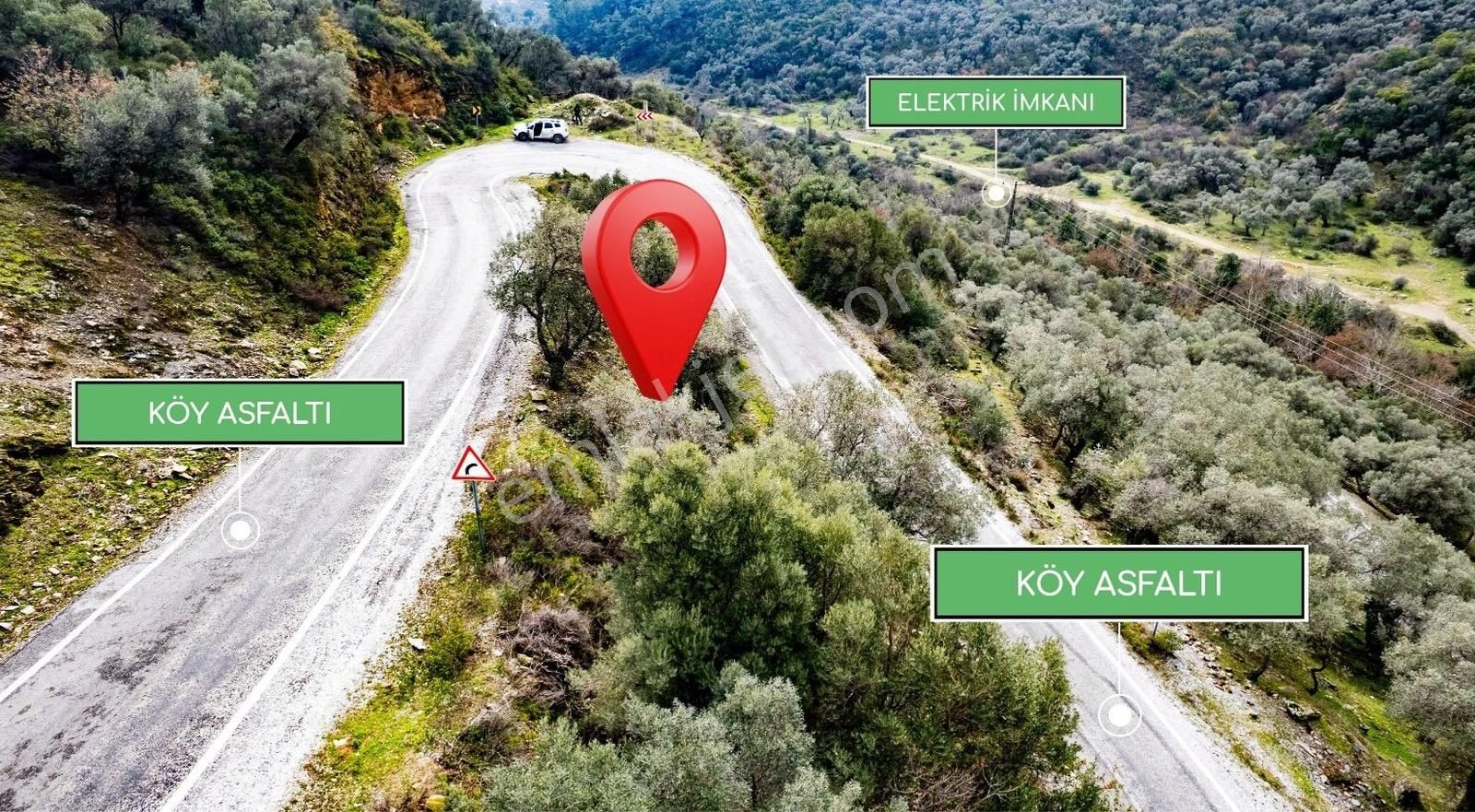 İzmir Bayındır Sarıyurt Köyünde Fırsat Zeytinlik! - Görsel 14