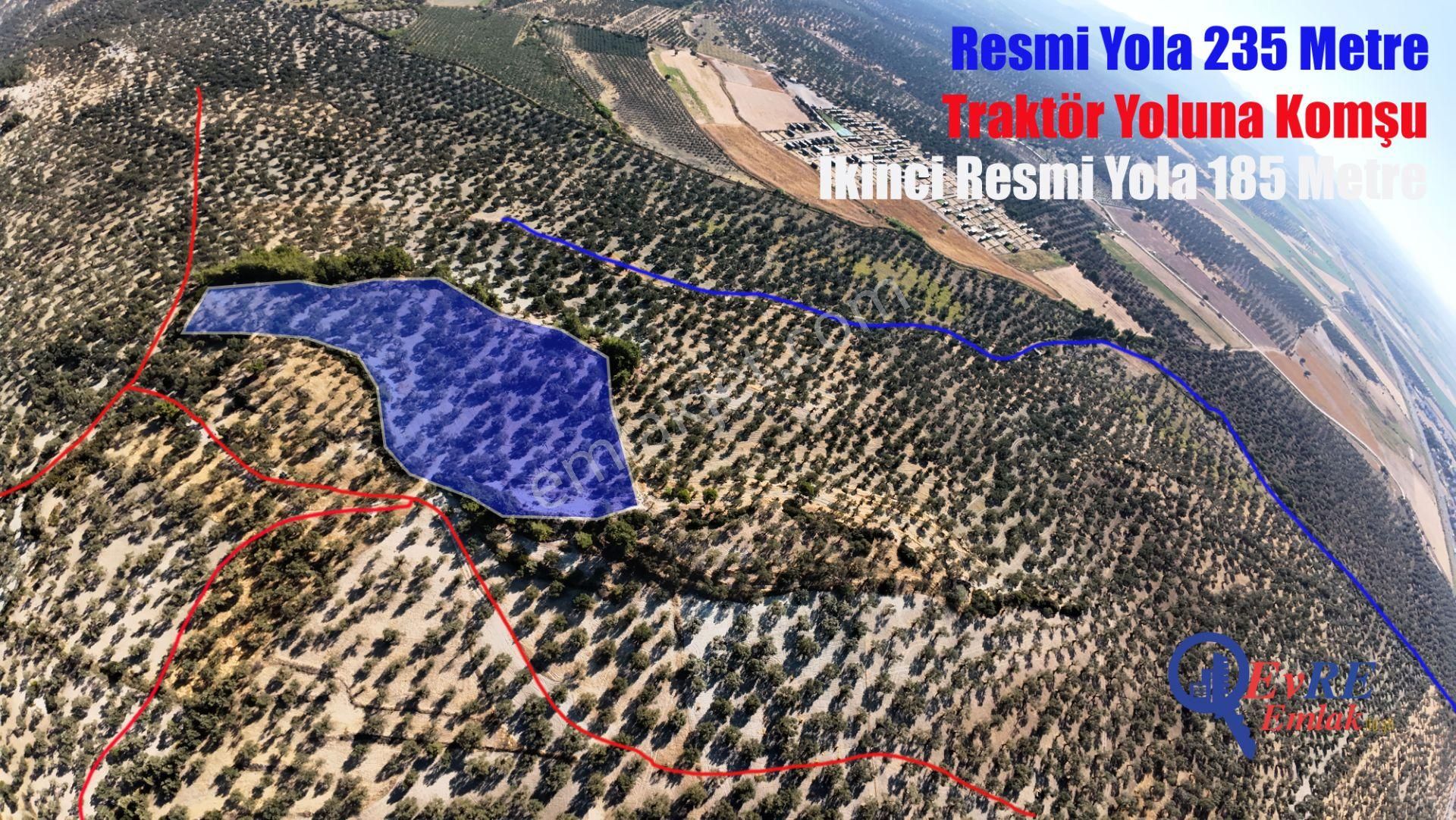 Evre Emlaktan Ayvalıkta Deniz Manzaralı Satılık Zeytinlik - Görsel 27